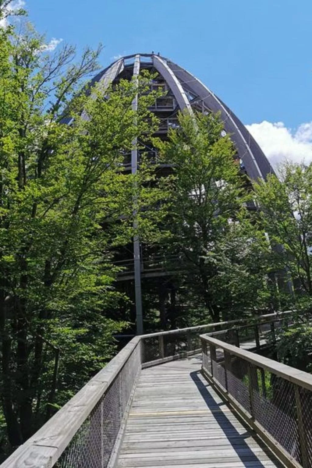 Wohnung mit möblierter Terrasse und Waldblick-Drinnen
