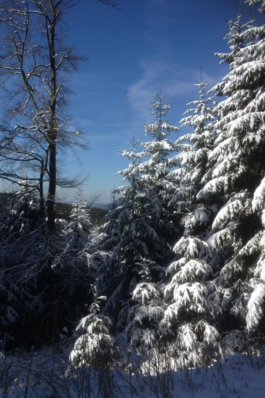 Haus Schnurbus-Dedans