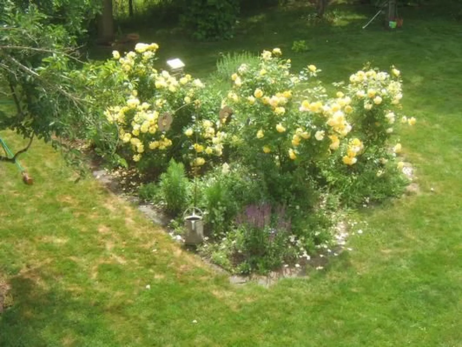 Am Wiesengrund in Venningen-Dedans