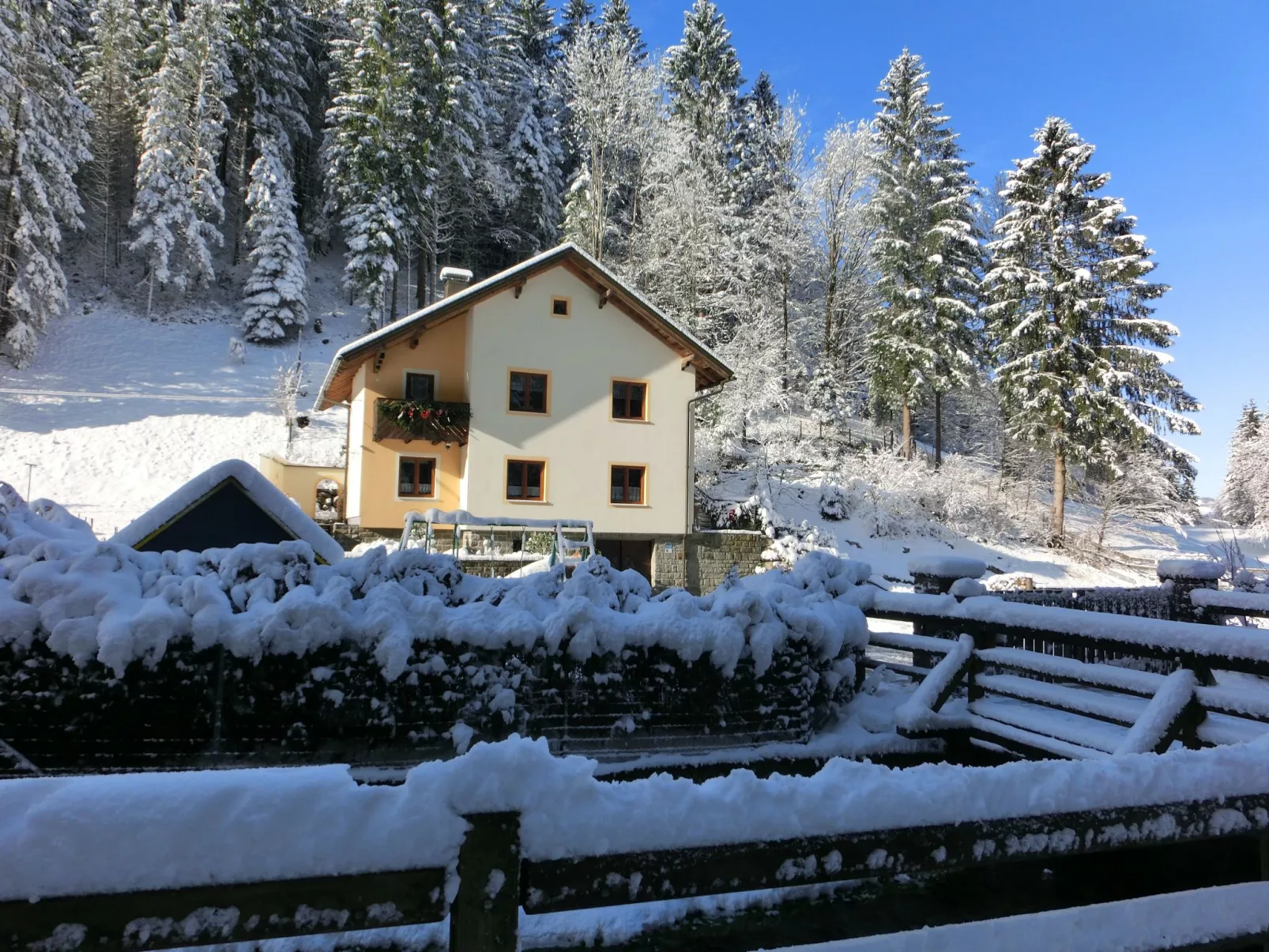 Eulenrast in Loich-Inside