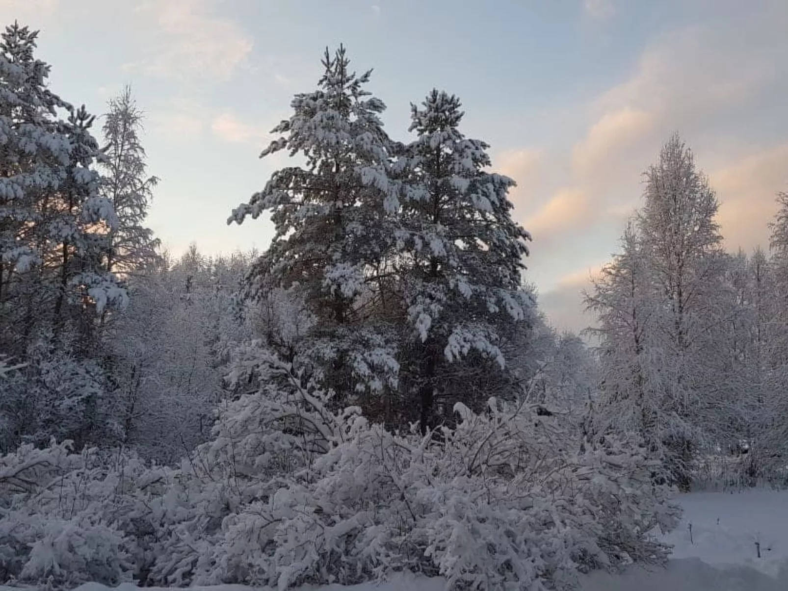 Gemütliches Ferienhaus Angermanland - höga Kusten-Image-tags.info