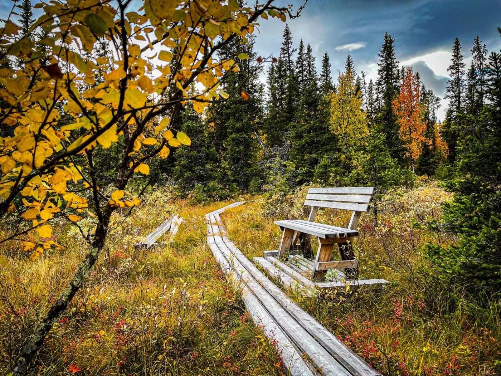 Gemütliches Blockhaus mit Kamin im Oviksfjäll-Draußen