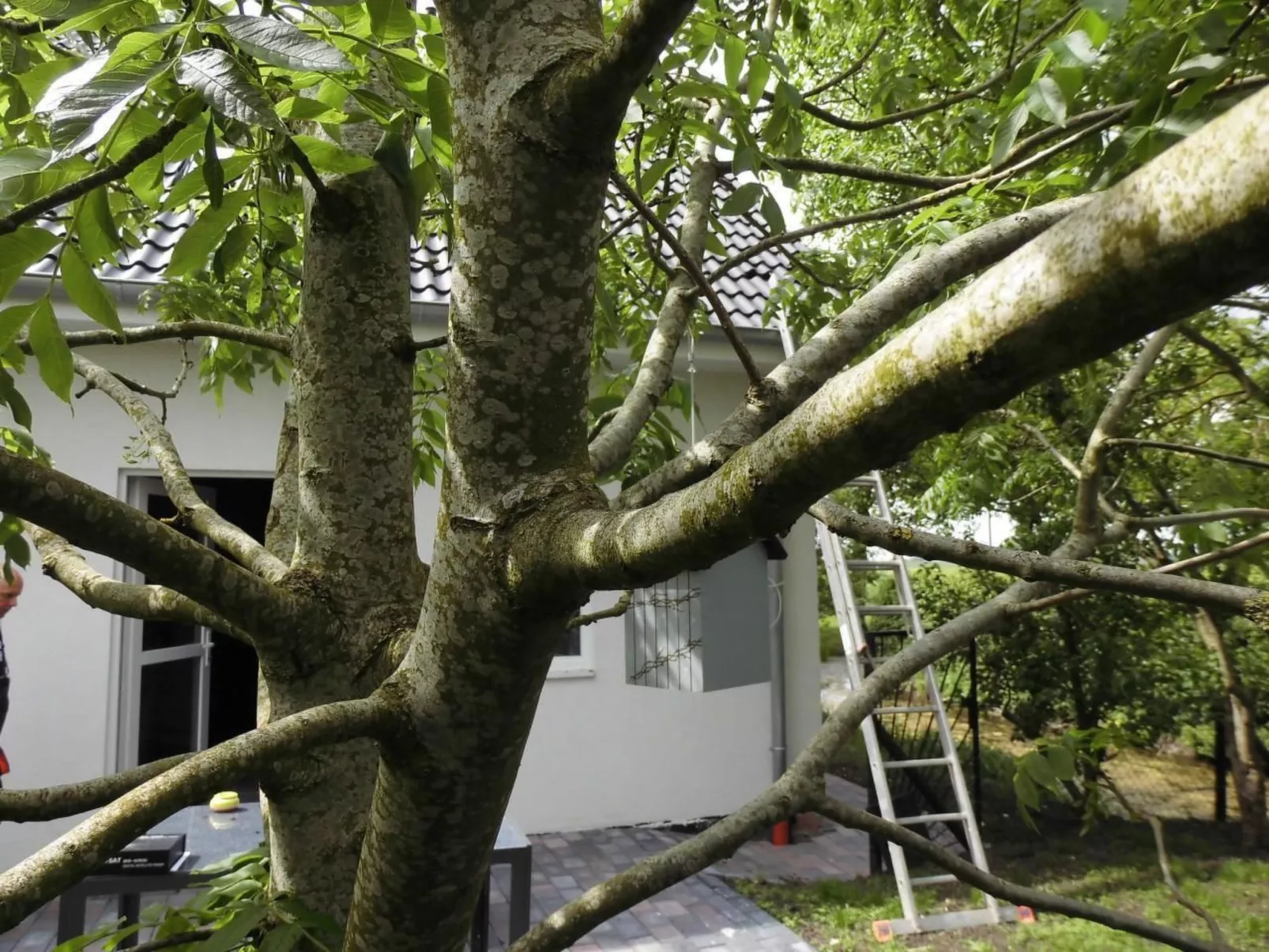 In Landschaftspolder mit Großem Garten-Draußen