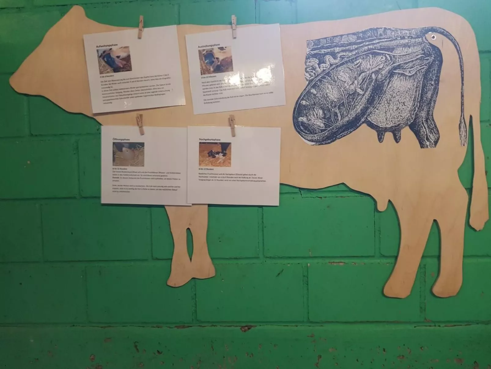 Ferien im Gugger - Wohnung Stockberg-Outside