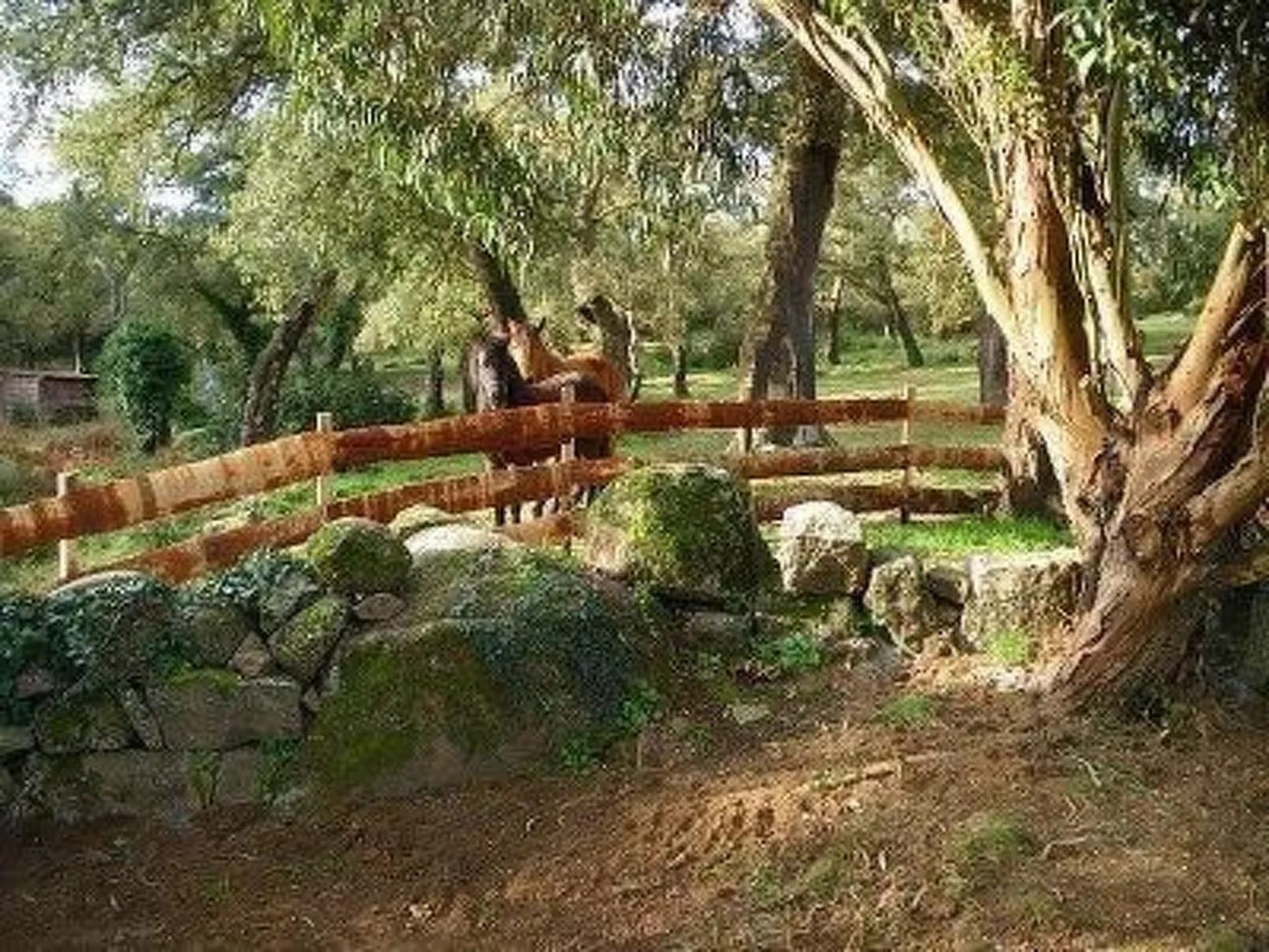 In Sartène mit Eigener Terrasse-Dedans