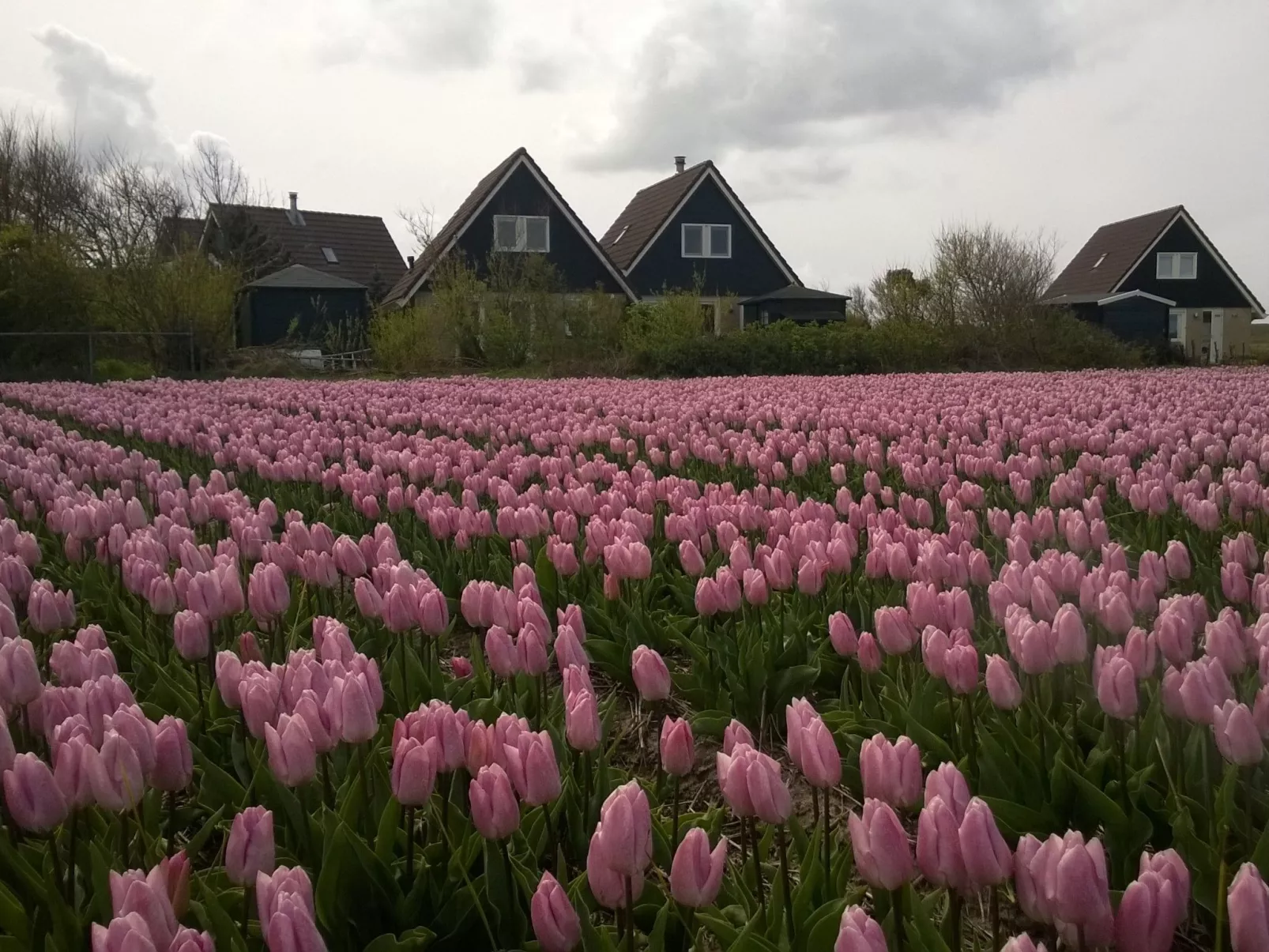 "Casa Juliana" mit privatem Garten-Draußen
