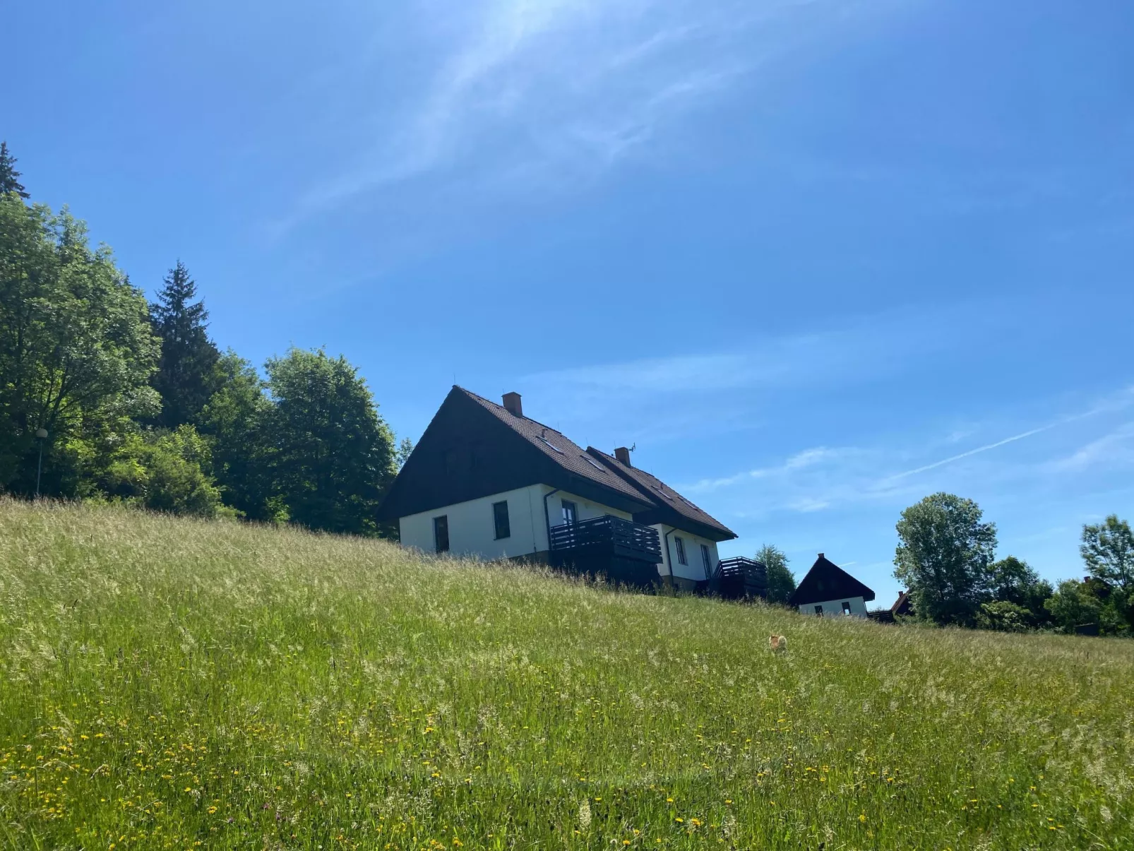 In  Green Valley Park 4-Inside