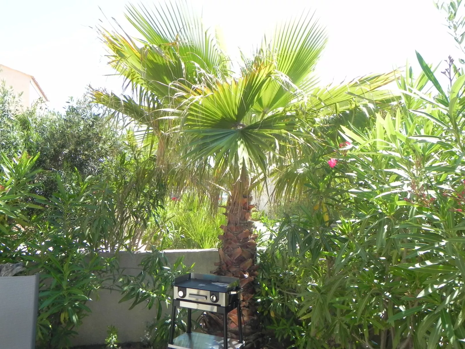 Residence du Grazel-Dehors