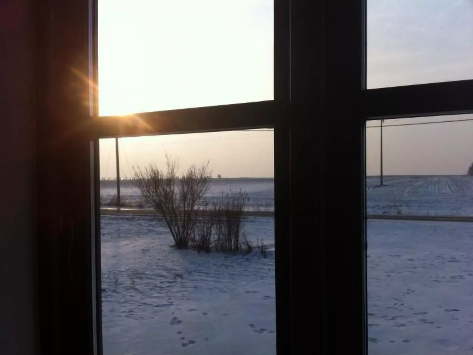 Möwe in Ummanz-Lüßvitz-Drinnen