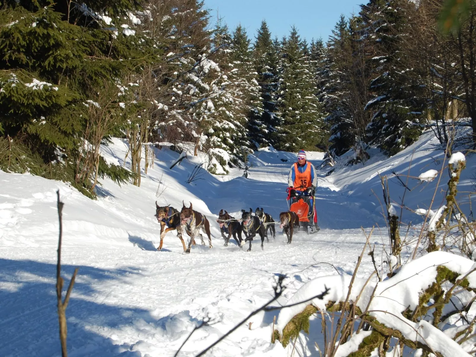 Thüringer Landhaus-Dedans