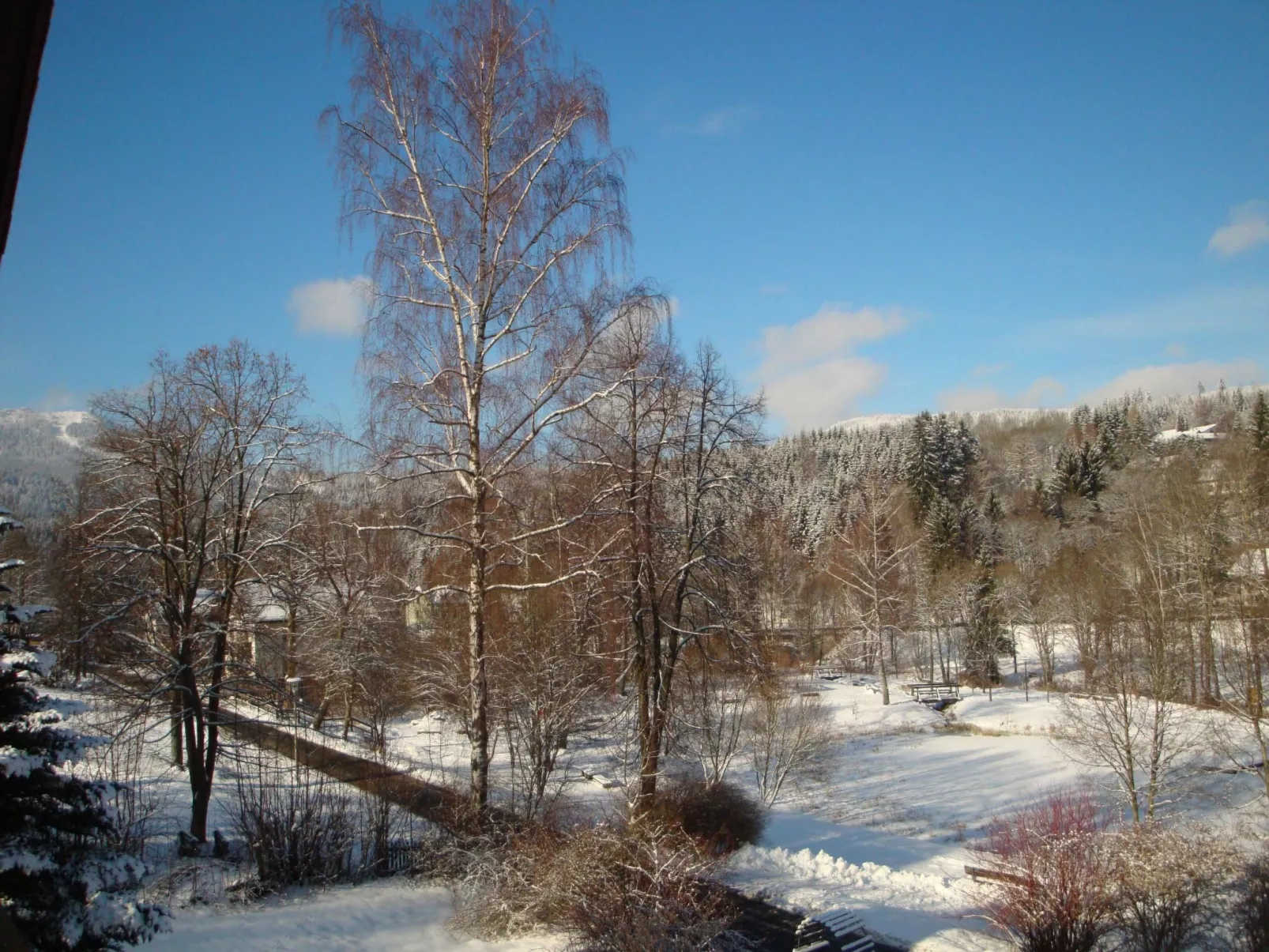 Seitz 1 in Bayerisch Eisenstein-Inside