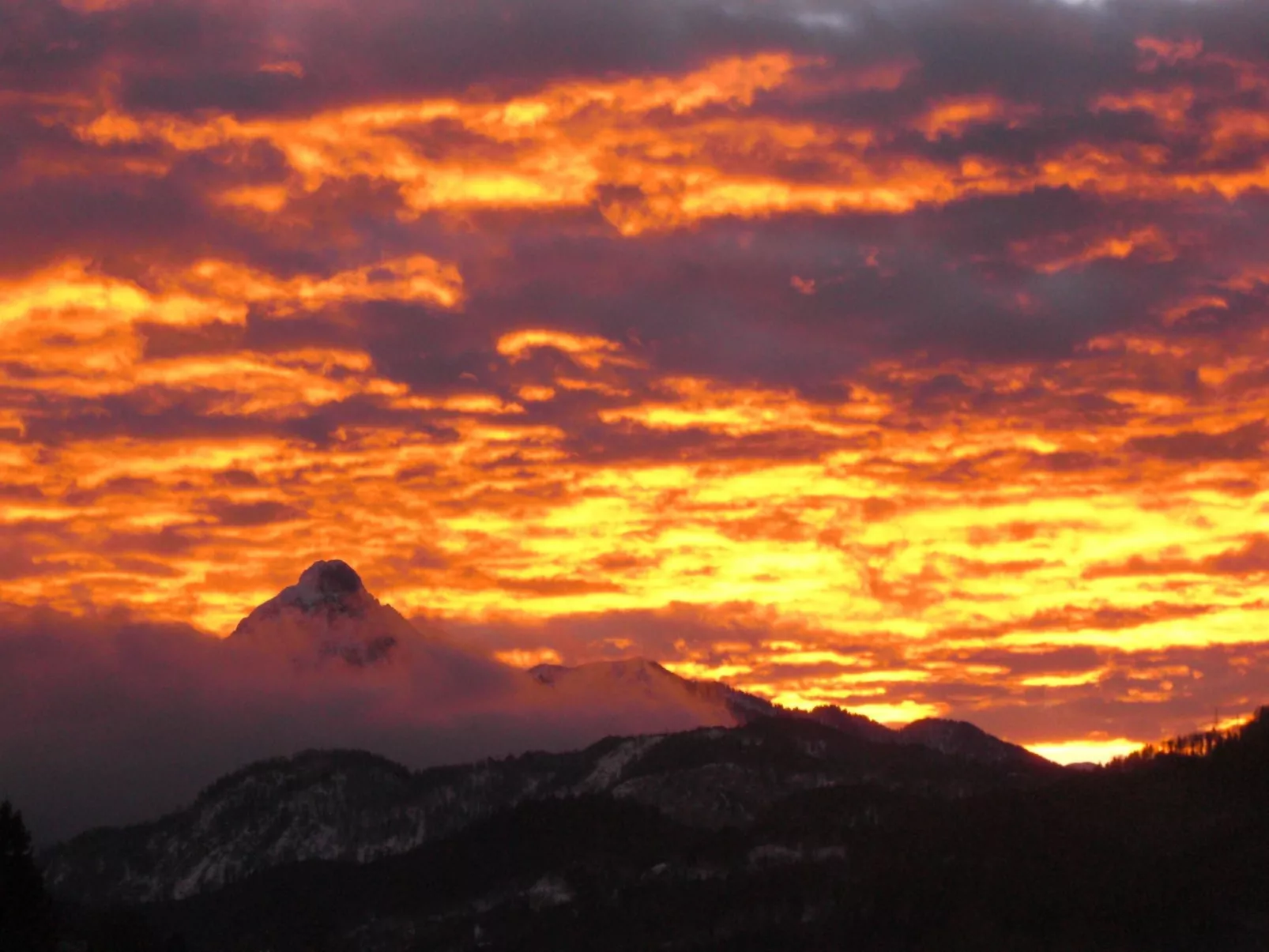 Am Rosengarten-Inside