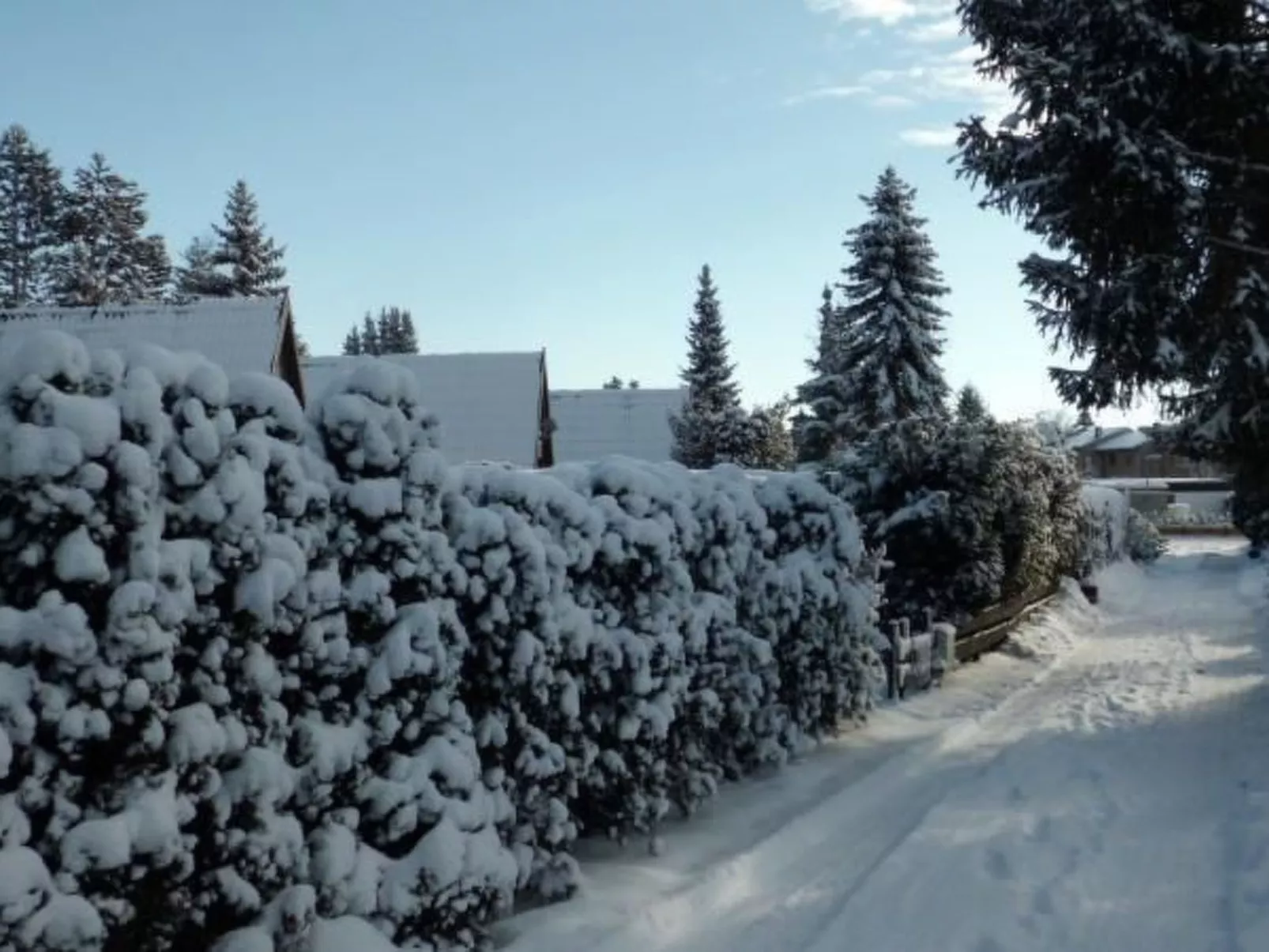 Nur-Dach-Ferienhaus für vier Personen-Inside