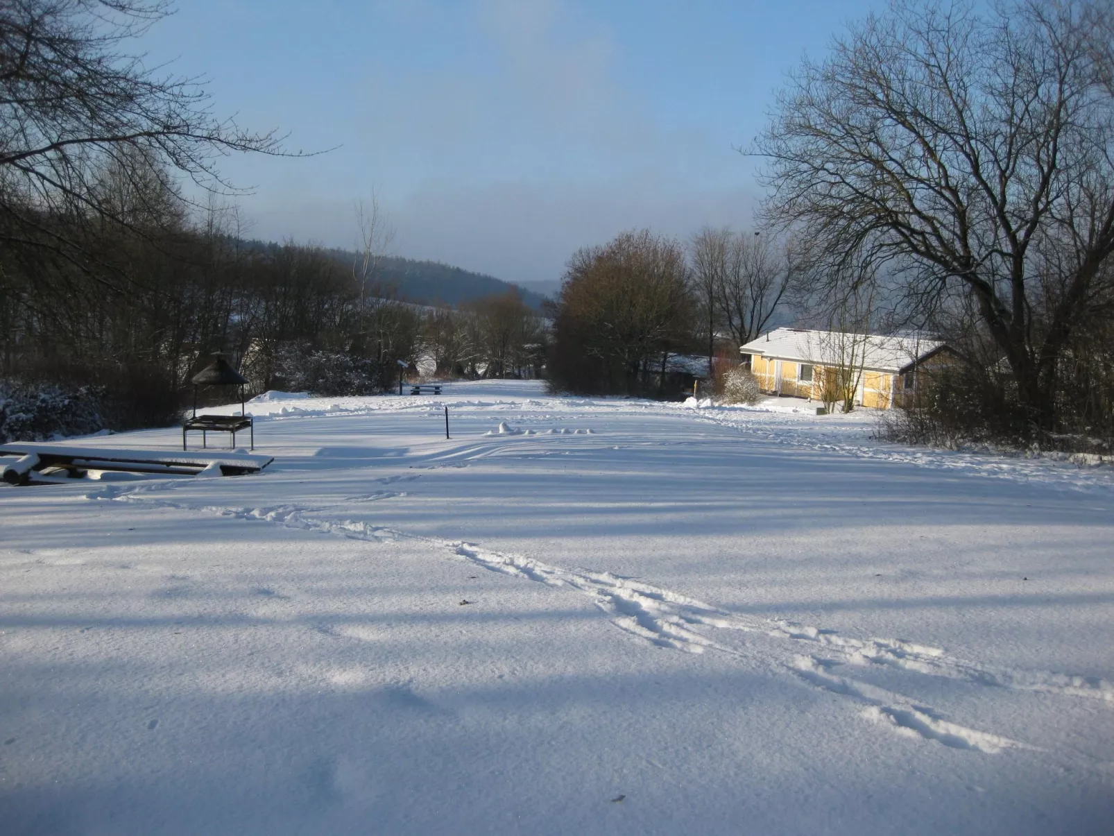 Scout 42-Image-tags.info