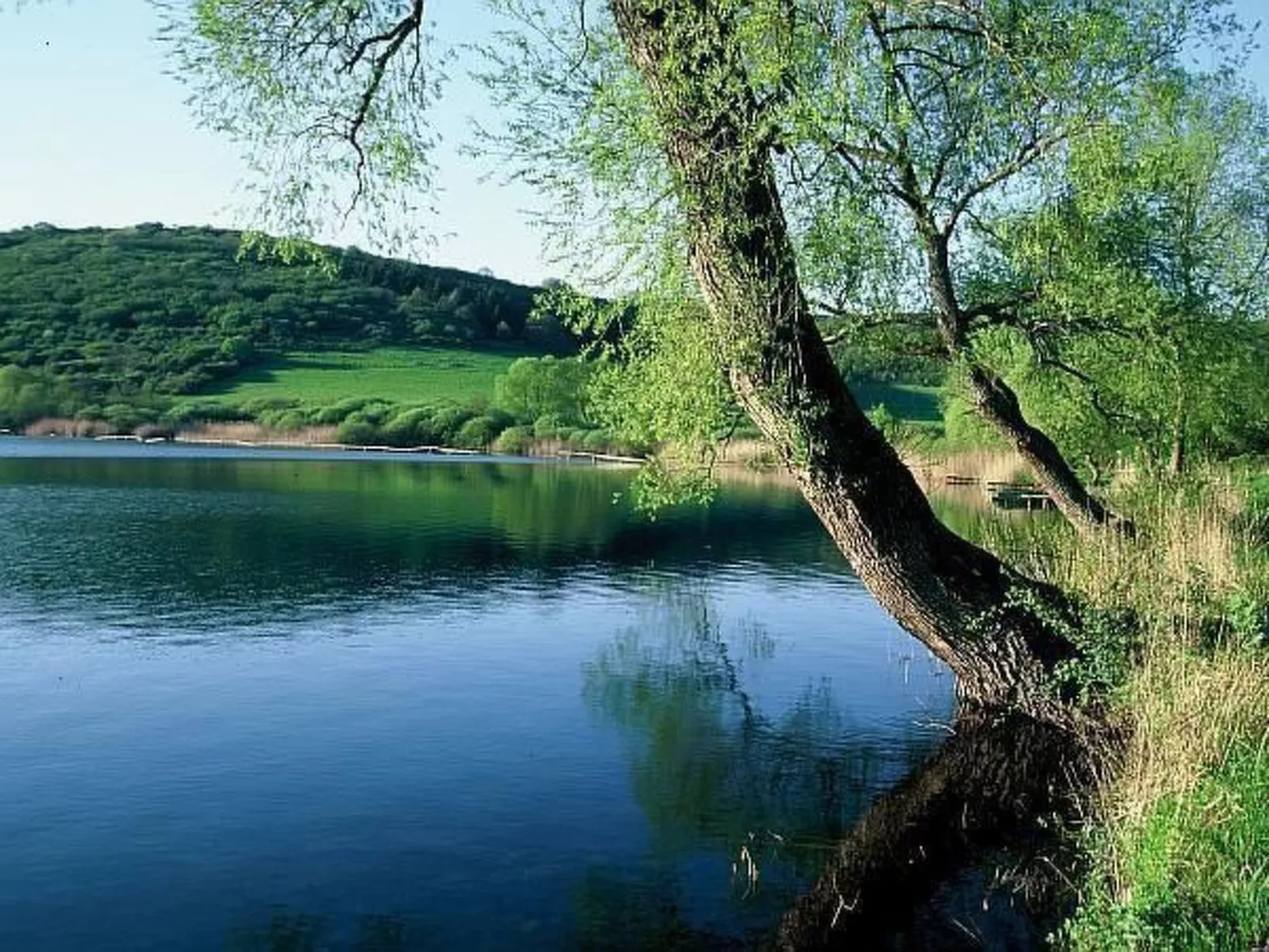 Elegante Ferienwohnung in Schalkenmehren-Inside
