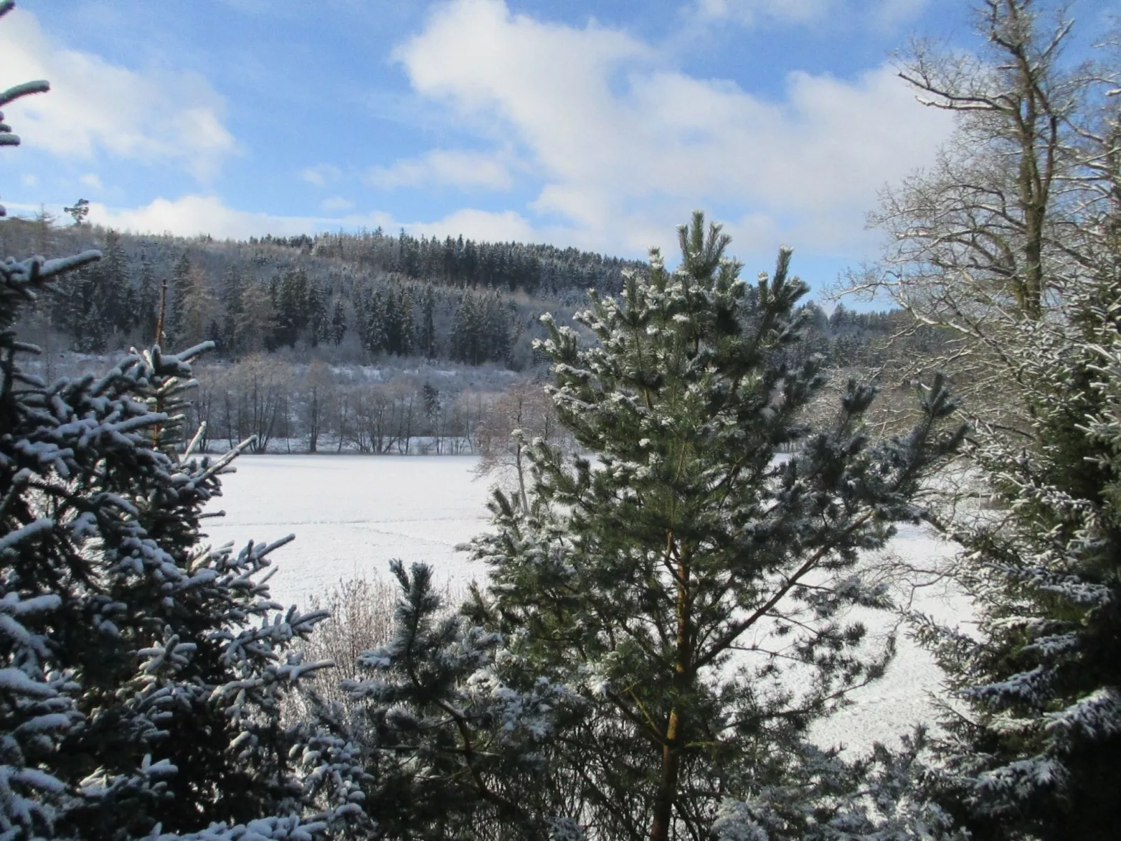 Grosse, hundfreundliche Ferienwohnung in der Nähe des Flusses-Outside