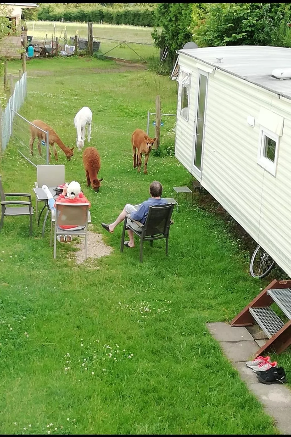 Eifel Domizil-Draußen