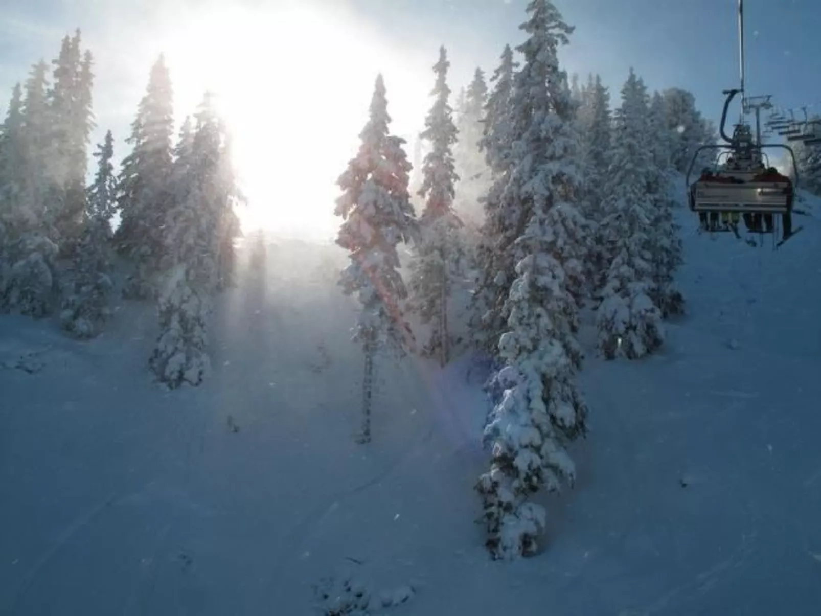 Almhaus am Hohenwart-Dedans