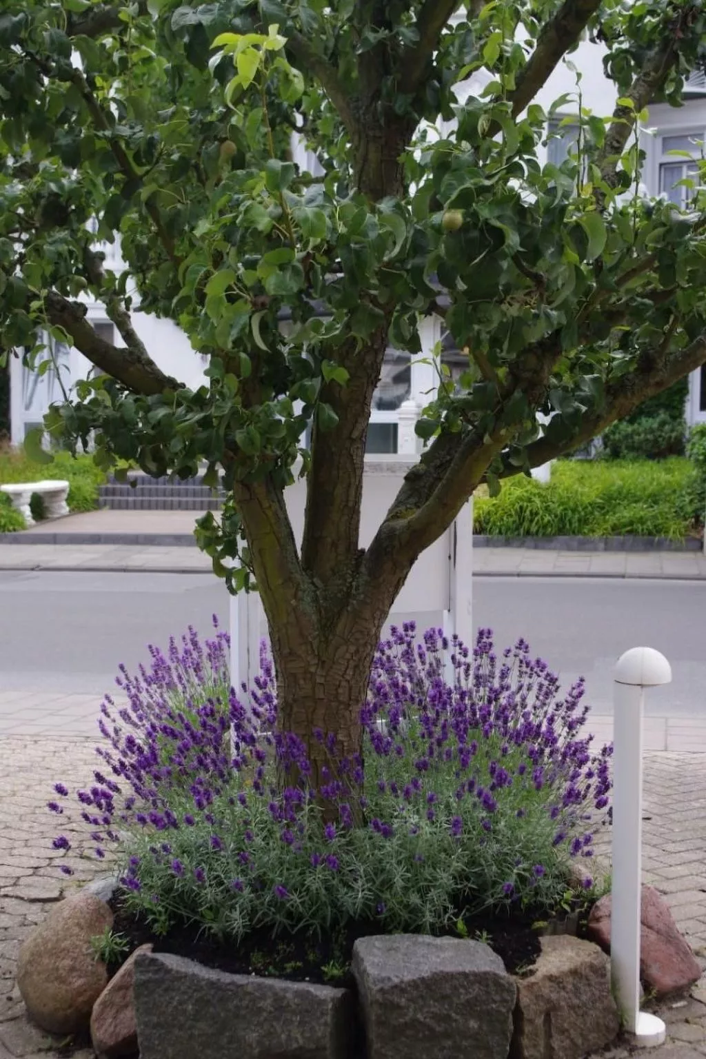 Gästehaus Kopp Wohnung Nr. 03 in Cuxhaven-Duhnen-Dehors