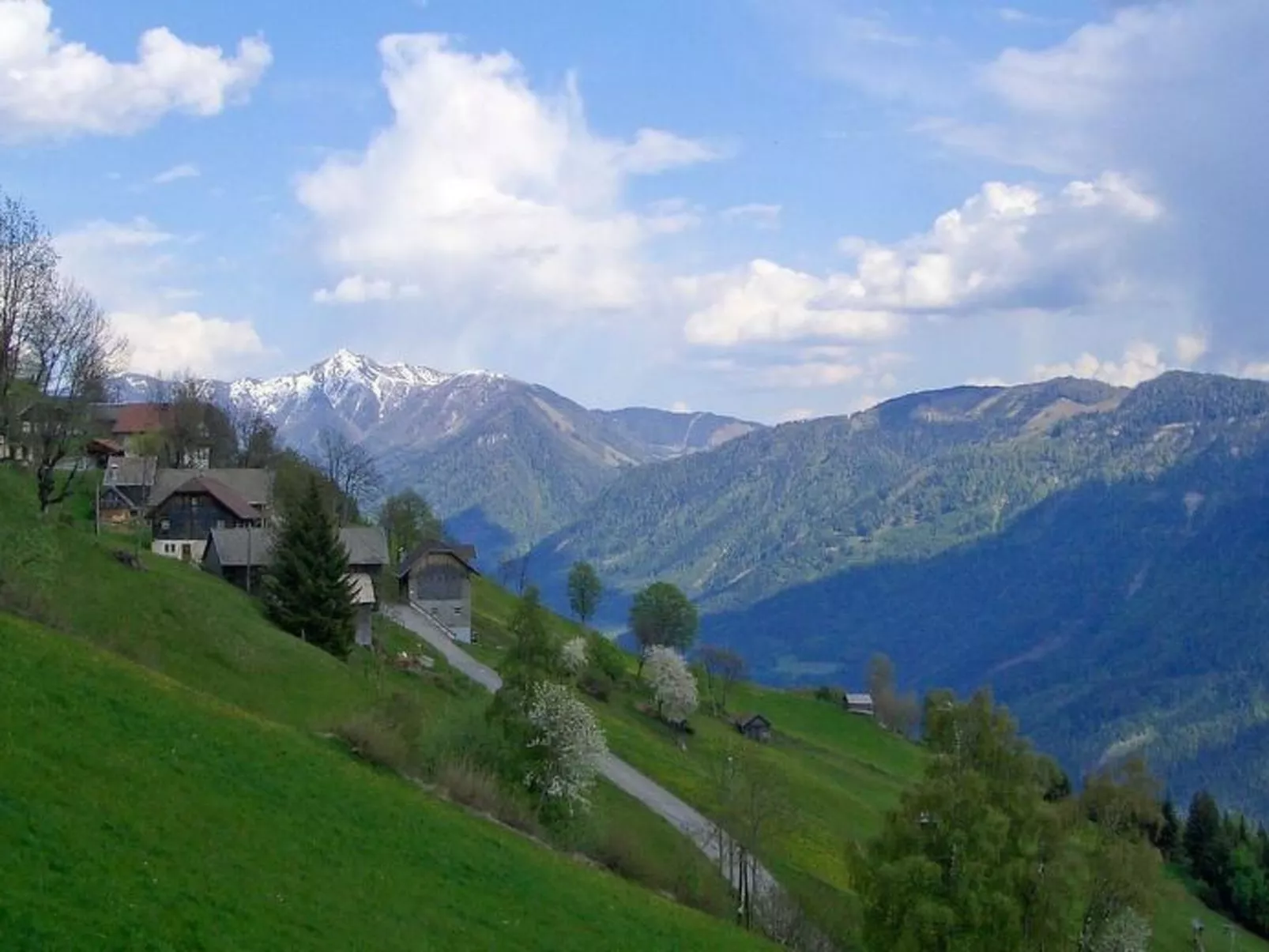Waldblick in Steinfeld-Drinnen