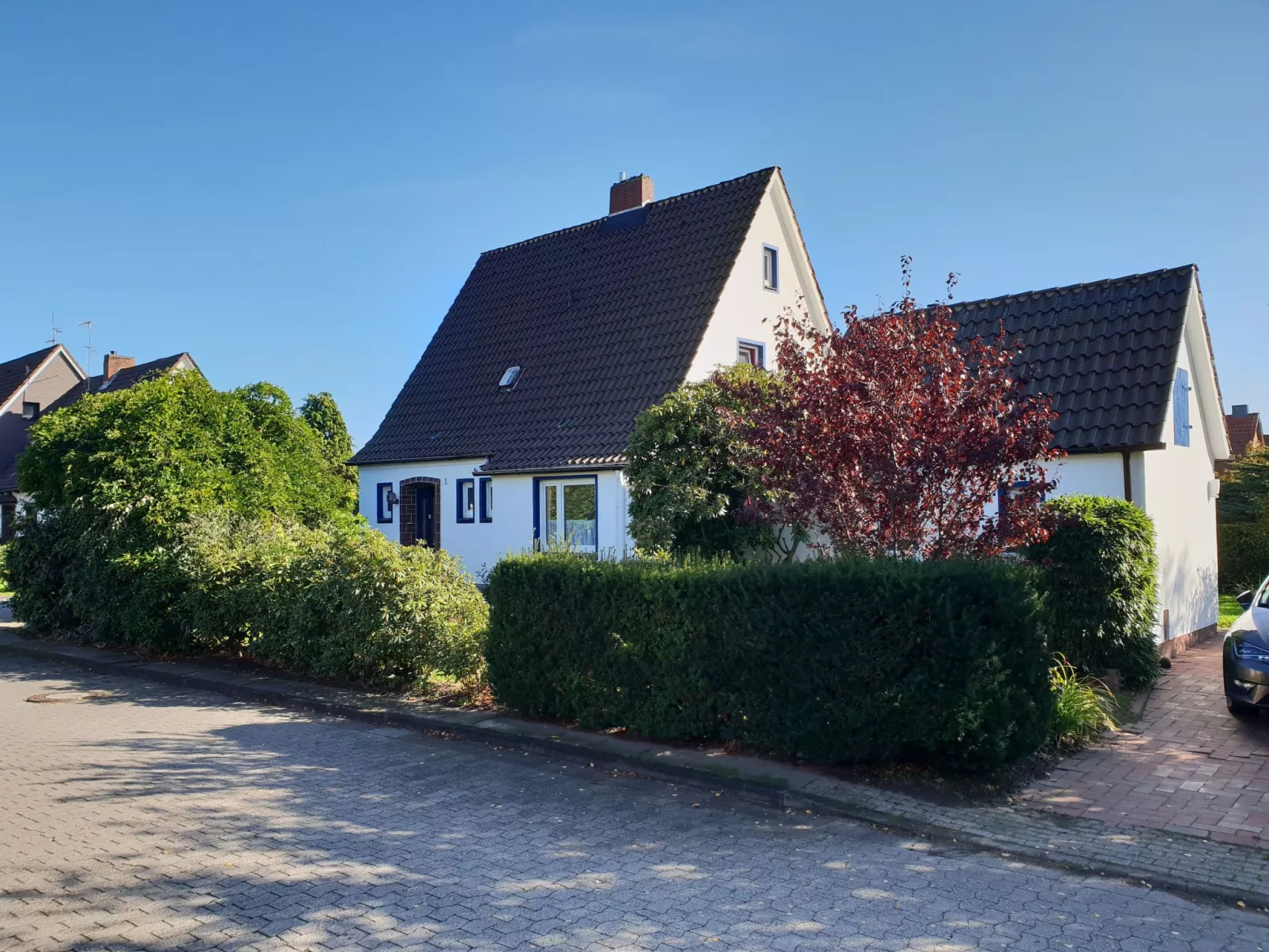 Erholung pur: Nordsee-Urlaub mit Hund-Dedans