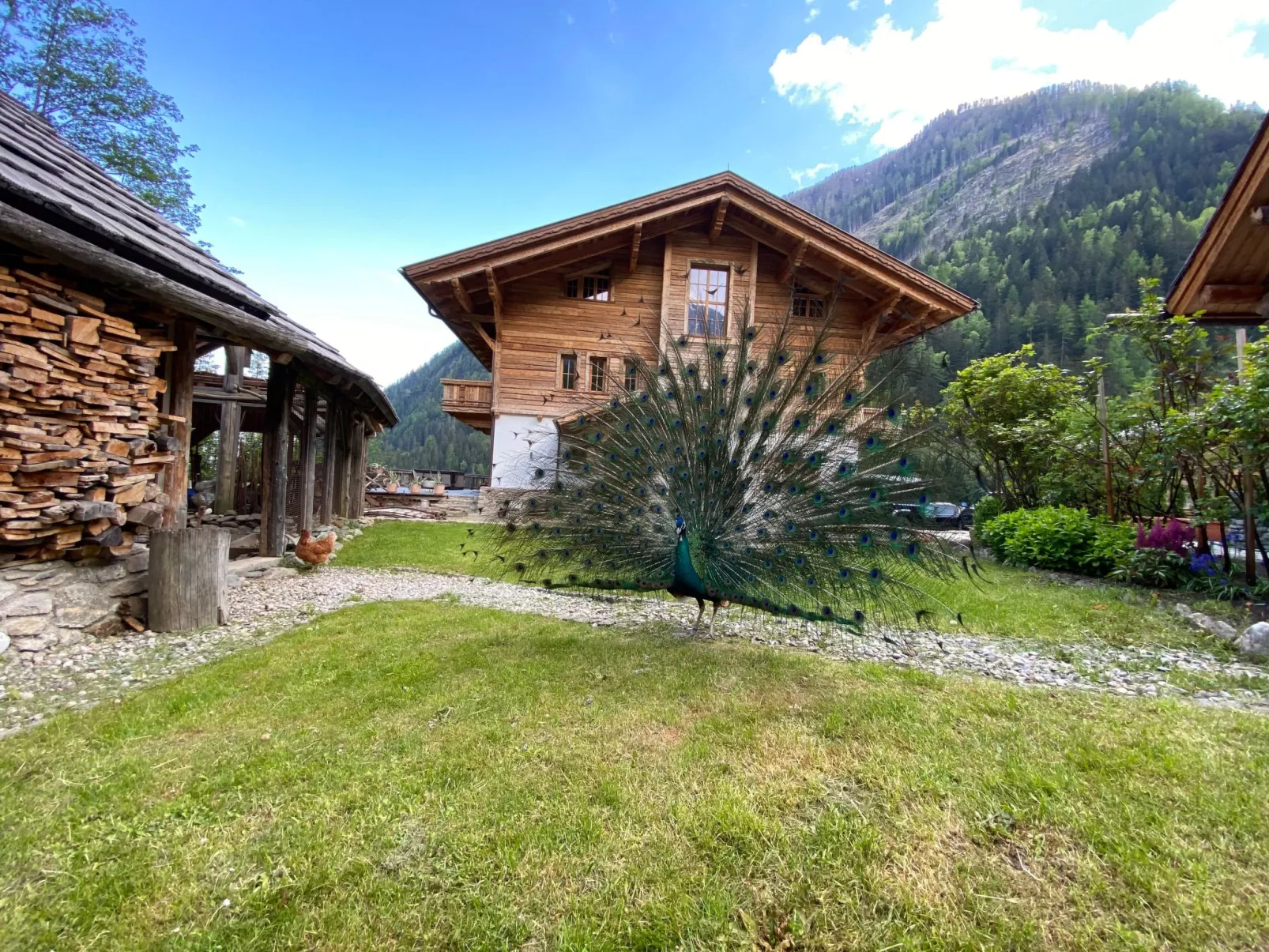 Panoramasuite-Dedans