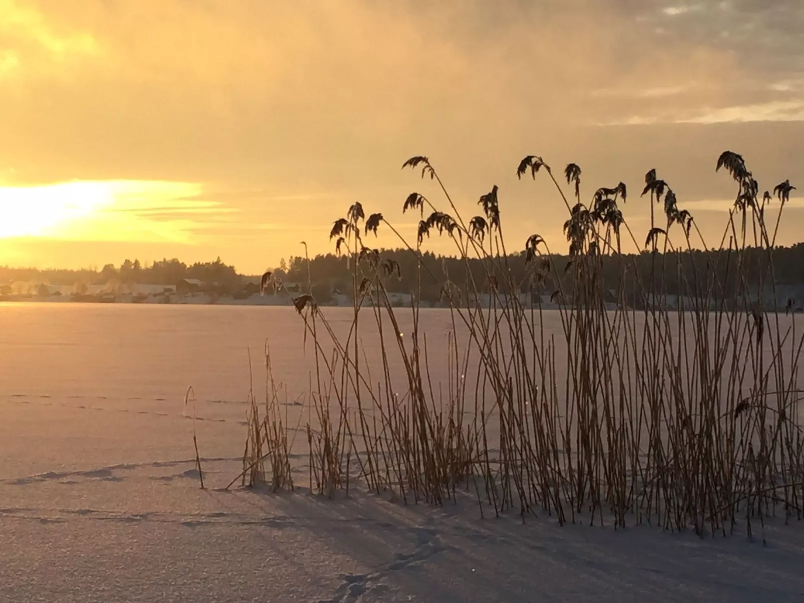Nachhaltig und gefühlvoll in Seenähe-Inside