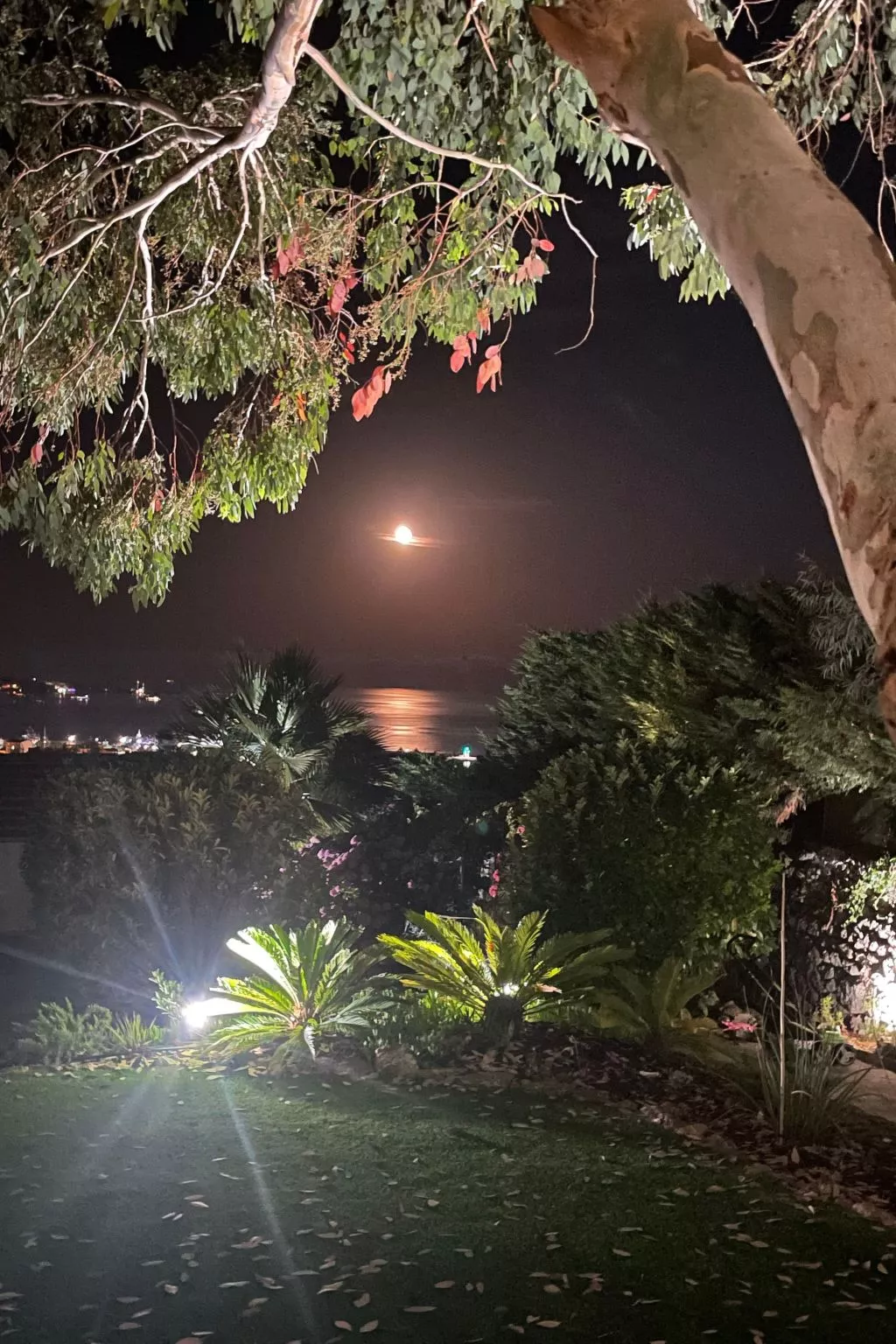 Ferienvilla mit Blick auf das Wasser-Outside