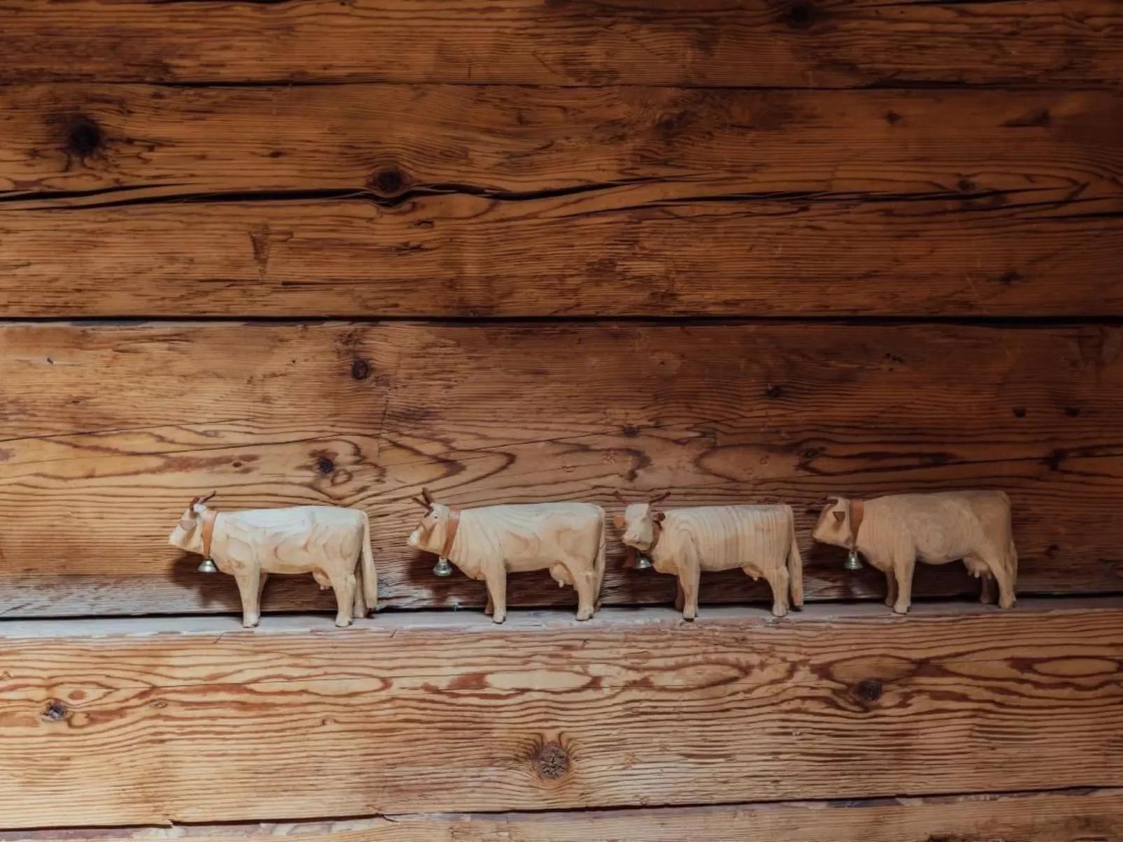 Alphütte Lenk-Gstaad-Draußen