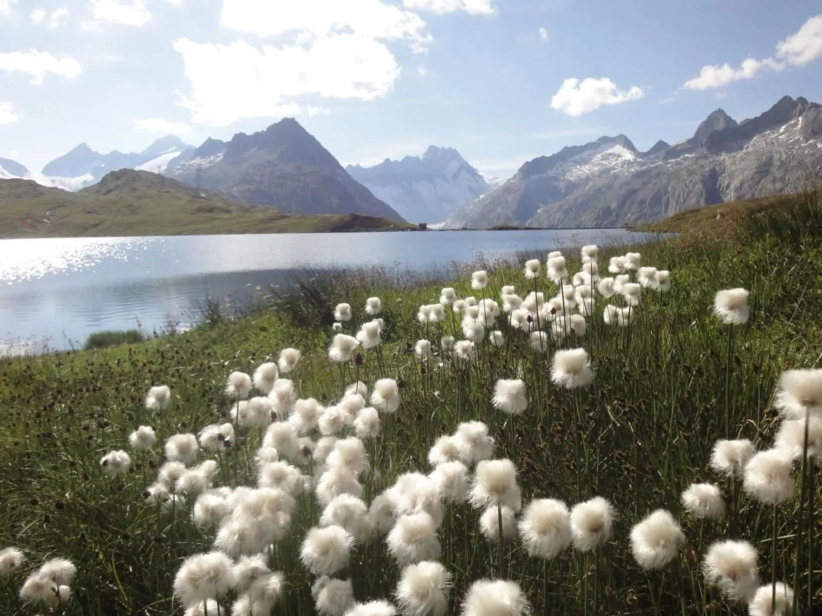 Chalet Stefanino, 3 1/2 Zimmer-Image-tags.info