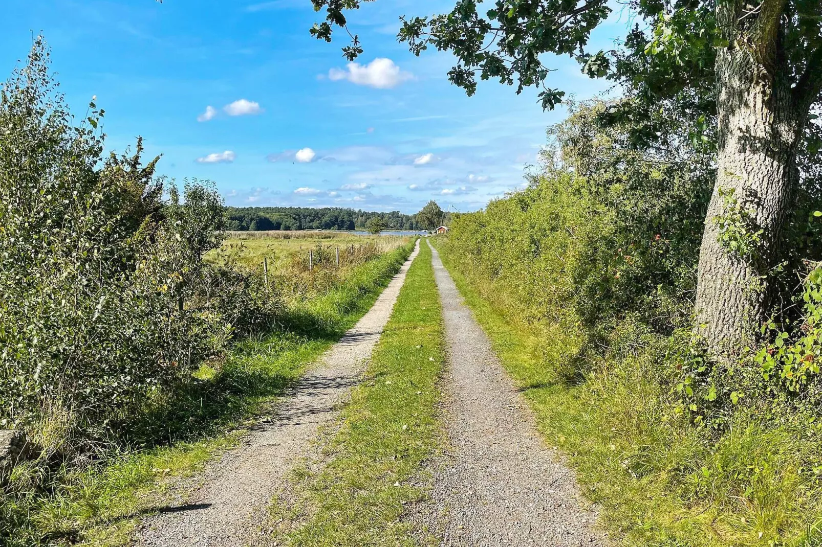 4 star holiday home in SÖLVESBORG-By Traum-Outdoor