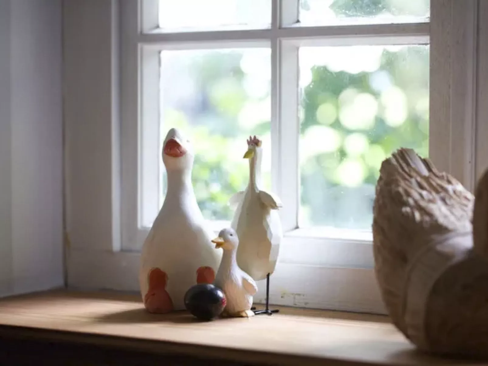 Traumhaftes Reetdachhaus an der Nordsee - Image-tags.info