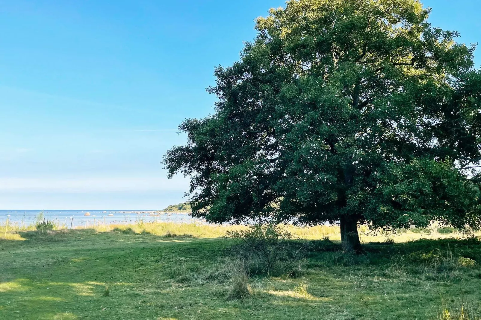 4 star holiday home in SÖLVESBORG-By Traum-Outdoor