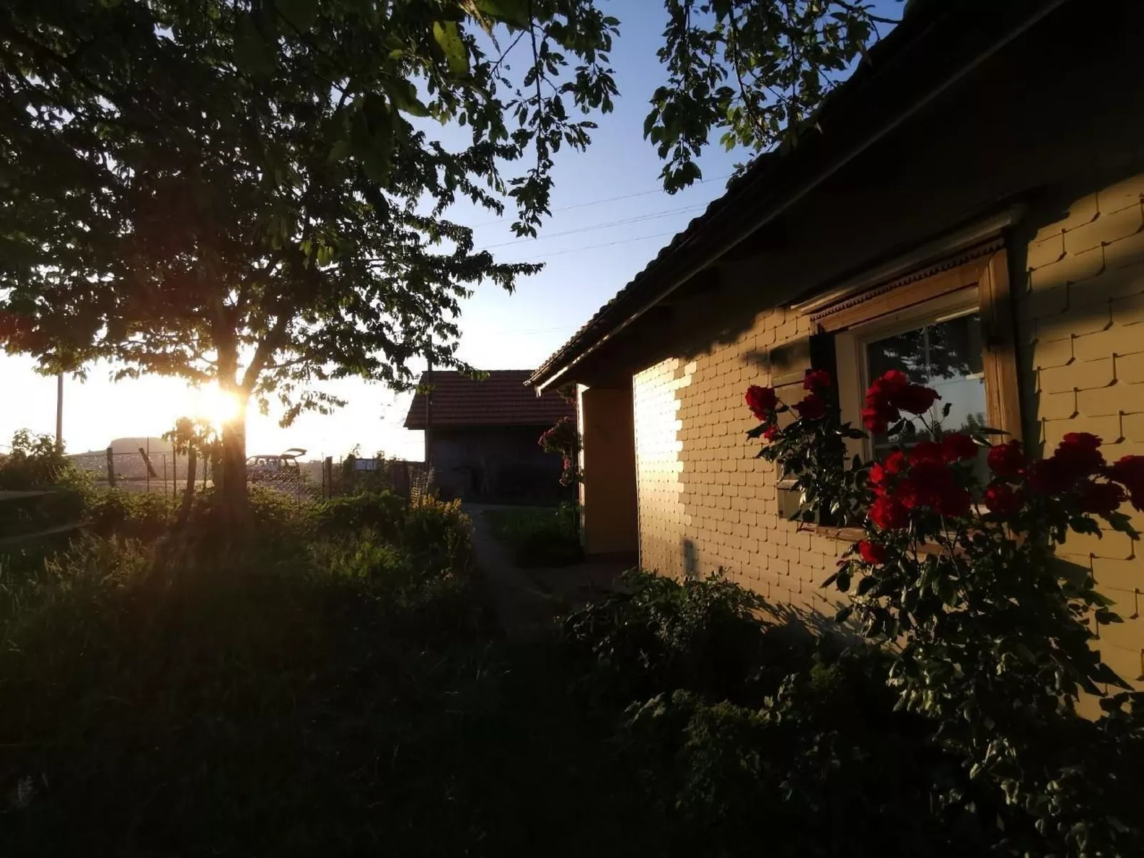 Tiererlebnishof Windegg-Inside