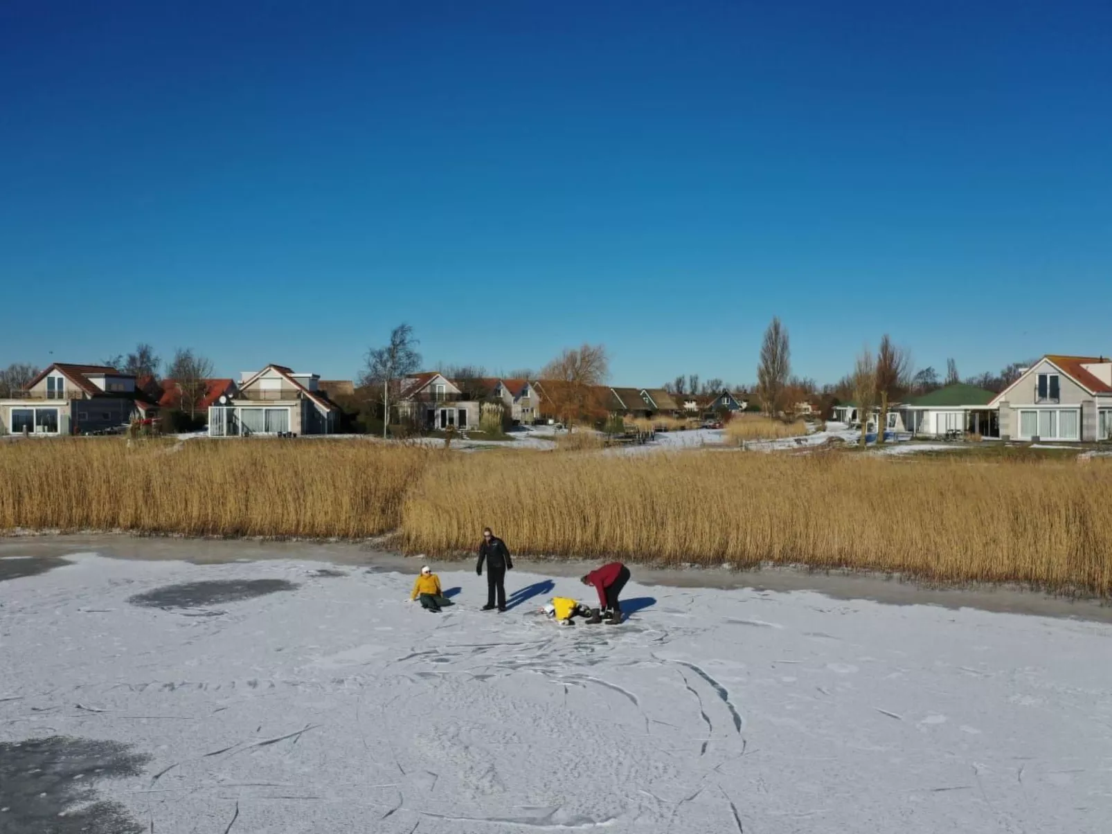 FH Satijnduiker-Dehors