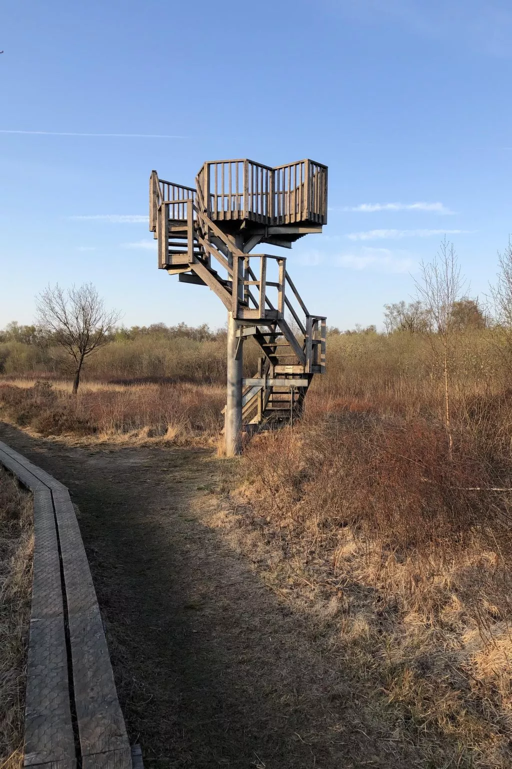 Geräumiges Ferienhaus mitten im Wald-Dehors