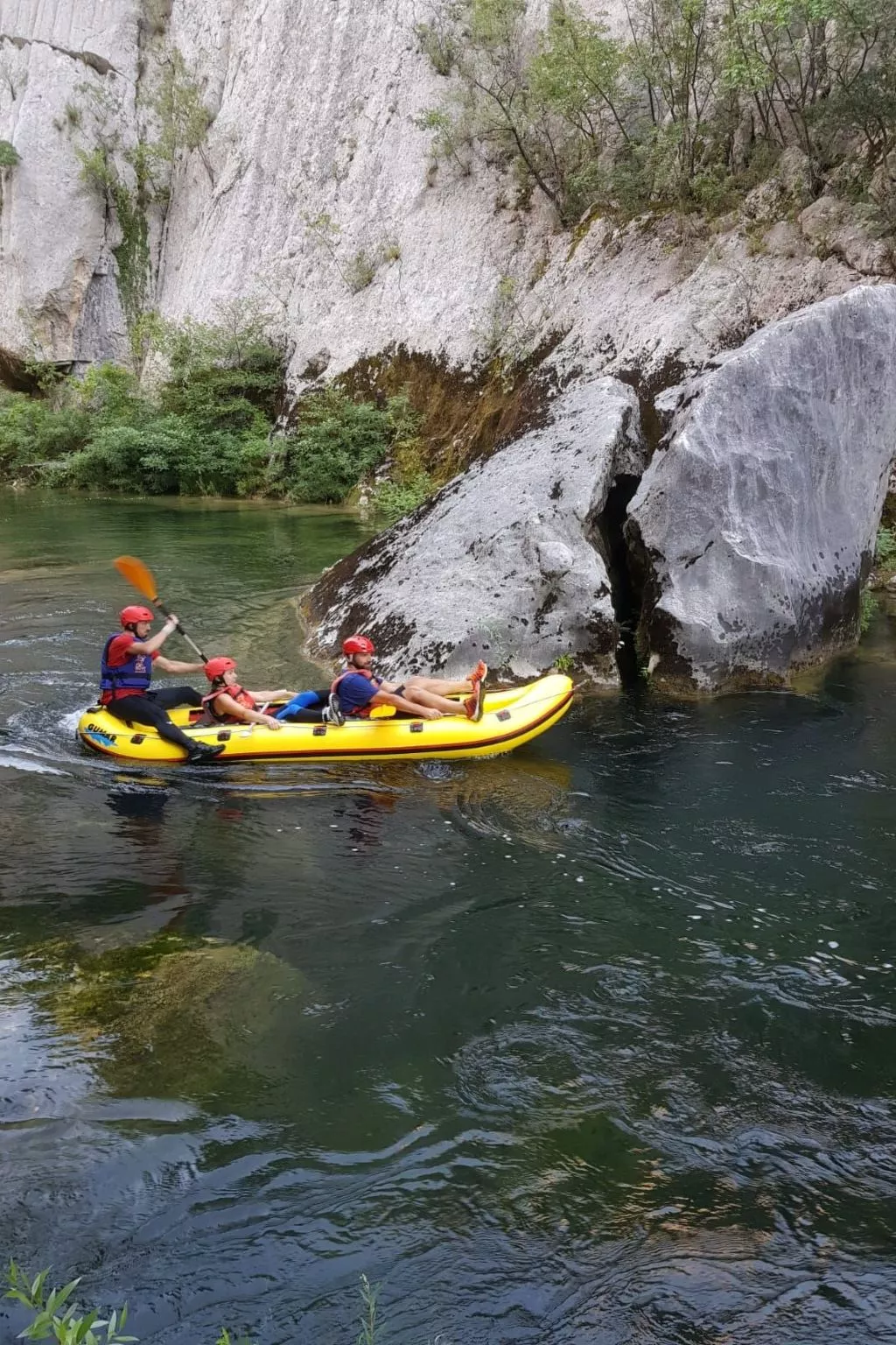La Finca OliveTree-Outside