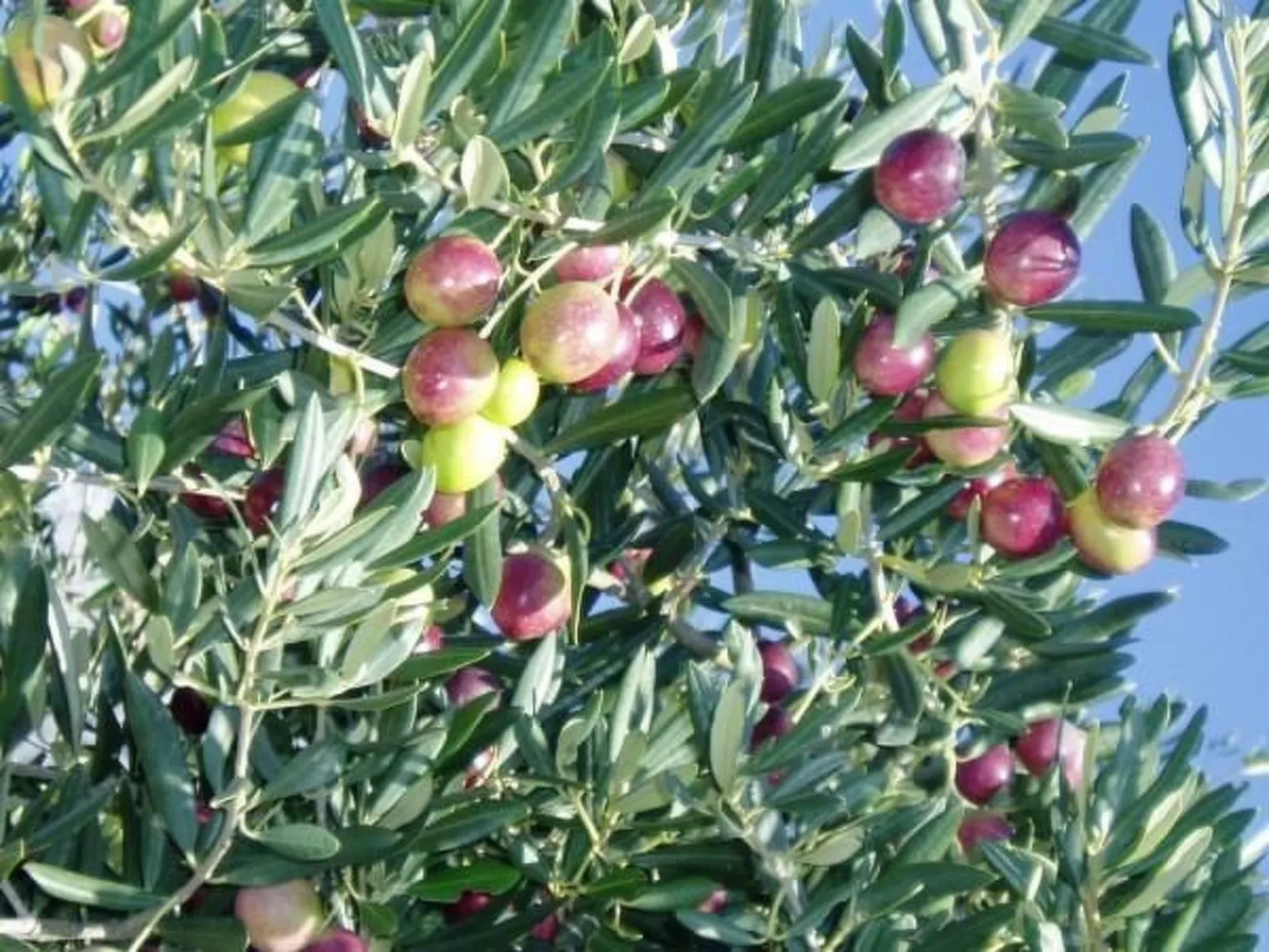 "Ein kleines Paradies"-Image-tags.info