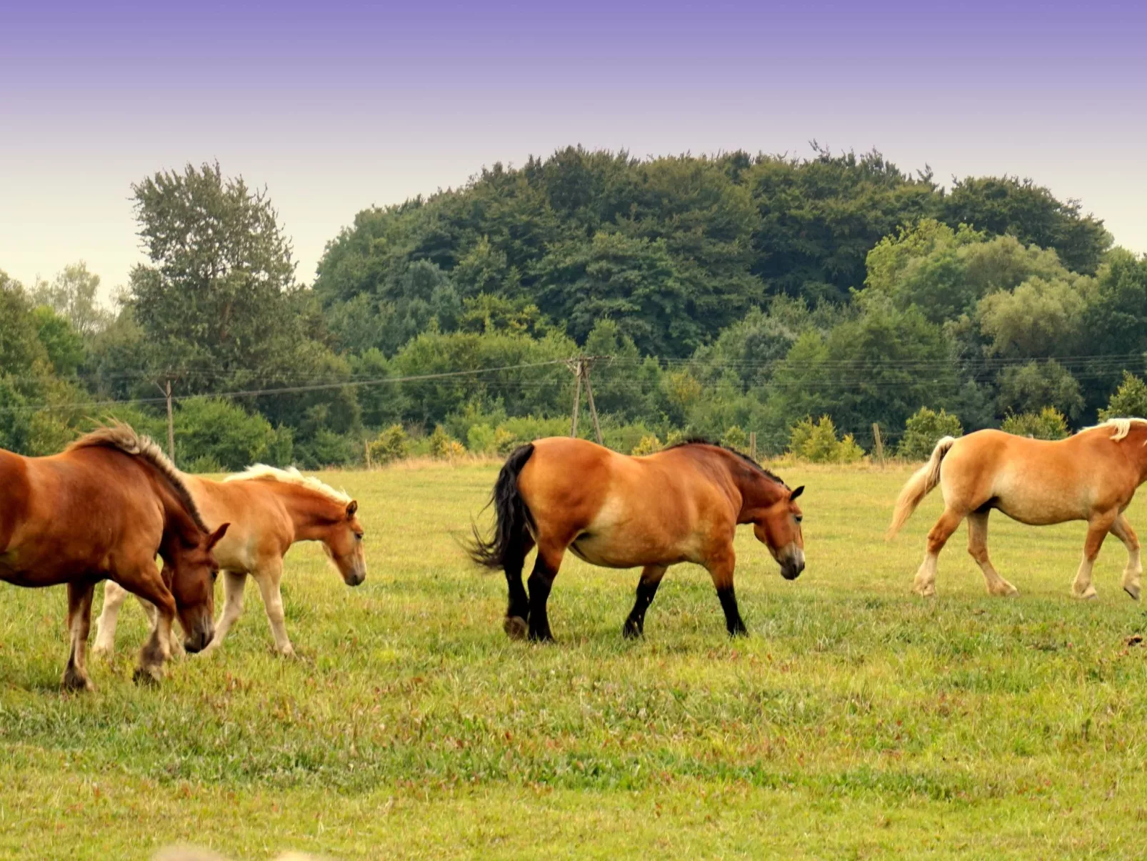 "Verano" mit Privatparkplatz-Drinnen