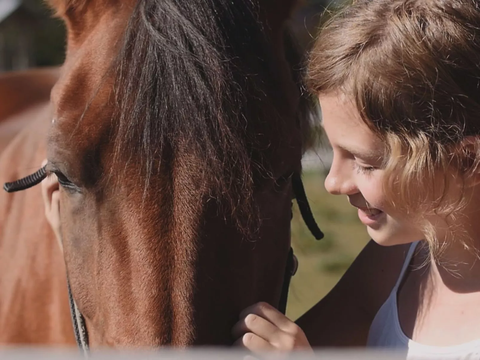 Landhaus mit Sonnenterrasse und Garten-Image-tags.info