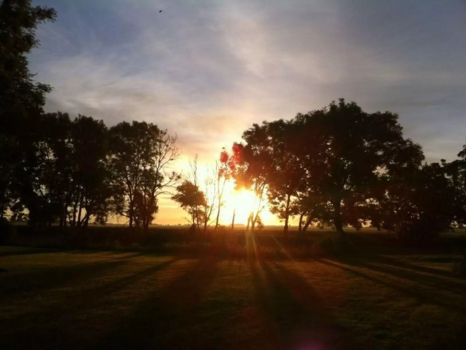 Kranich in Ummanz-Lüßvitz-Inside
