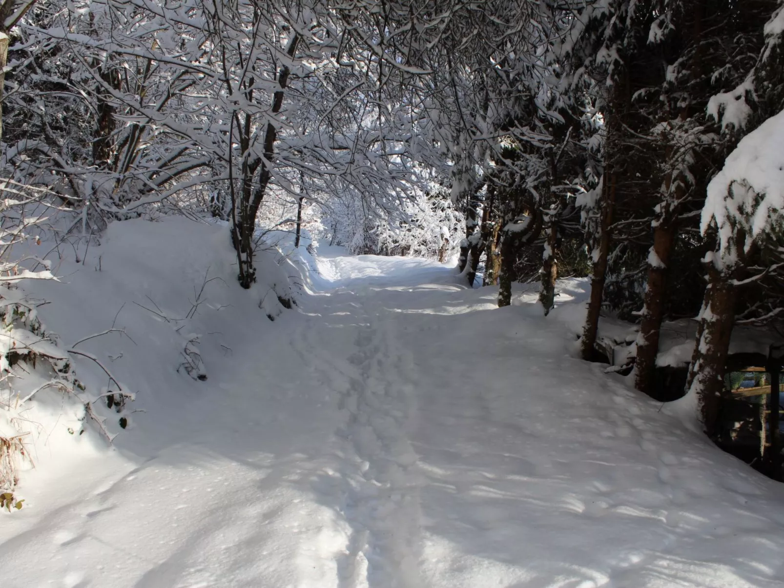 Haus Maria Hochschwarzwald, Garten umzäunt, Waldrand, Hunde willkommen-Dedans