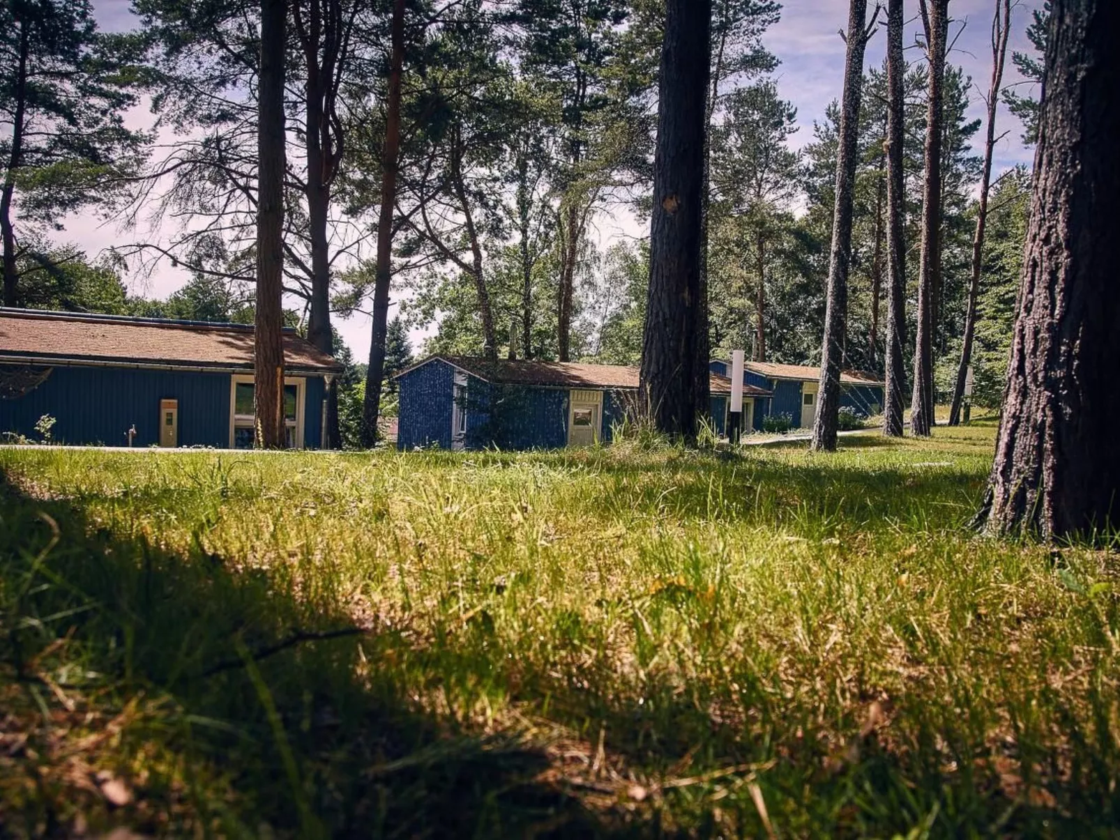 Waldhäuser-Image-tags.info