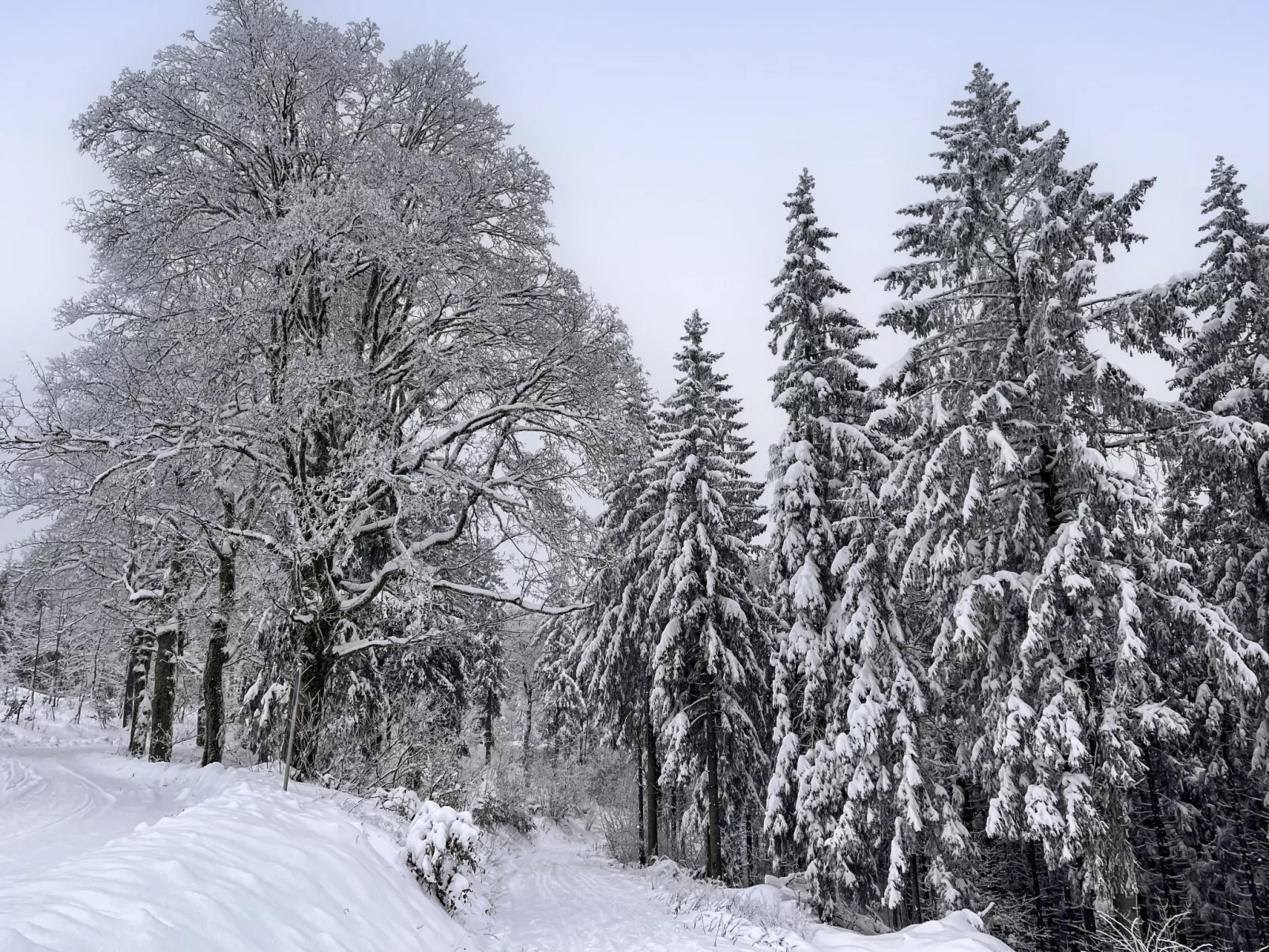 Gemütliche Ferienwohnung im Thüringer Wald-Environnement