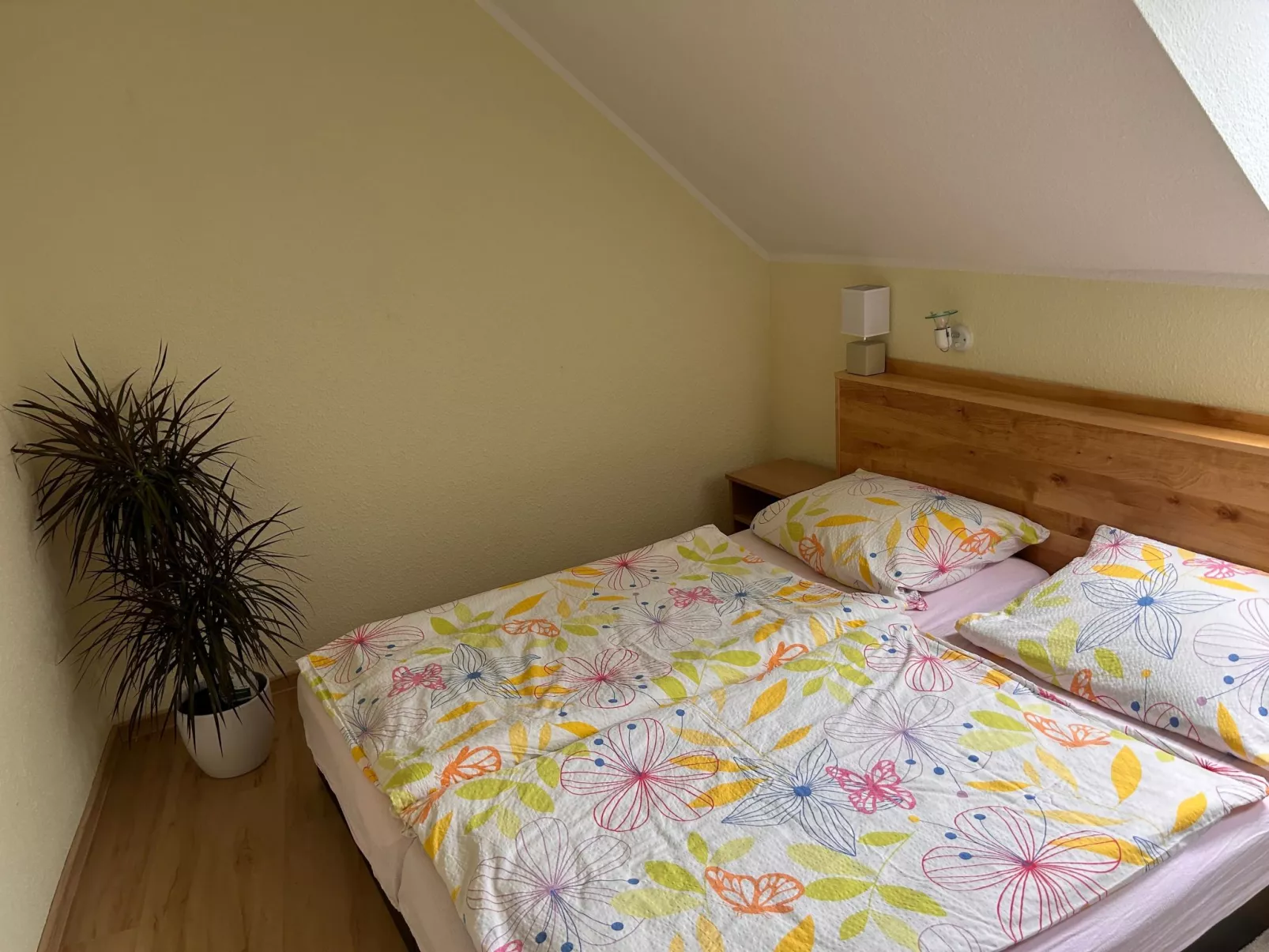 Am Schwielochsee-Dedans