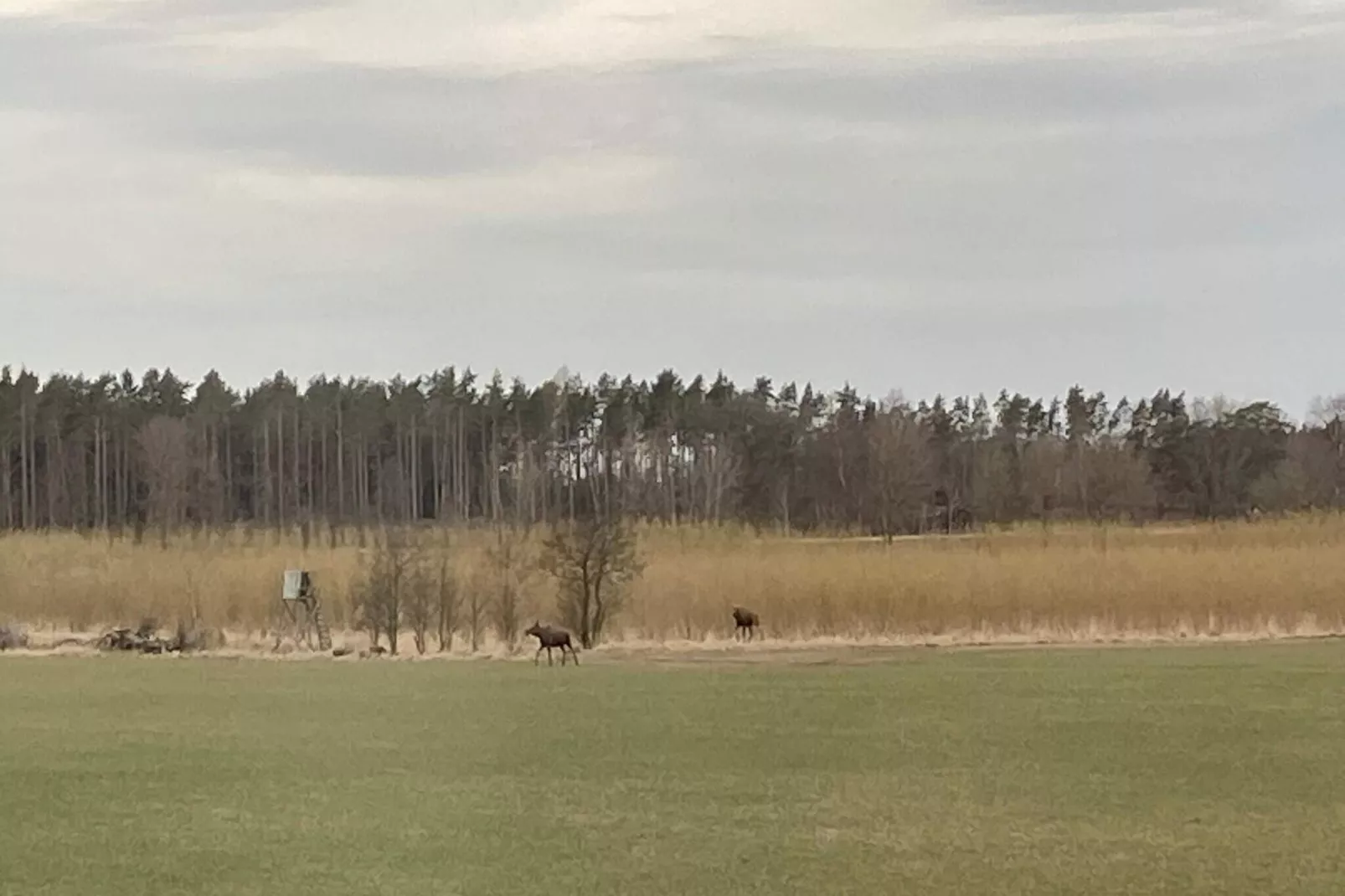 6 person holiday home in GRÄSTORP-By Traum-Not tagged