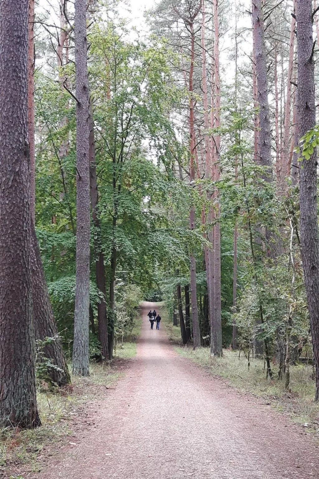 Mit Terrasse-Draußen