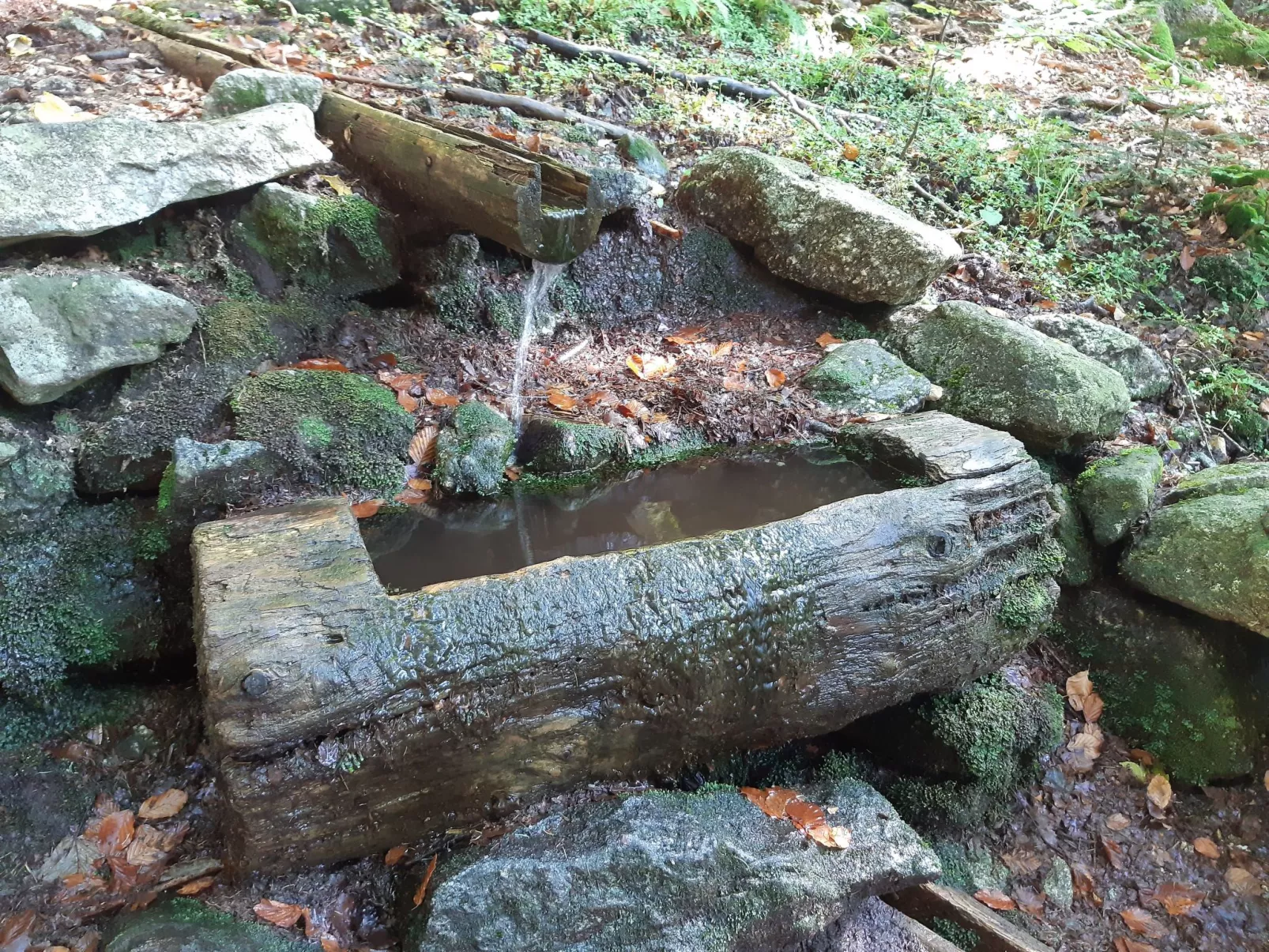 AnNo Wohlfühlplatzl-Inside