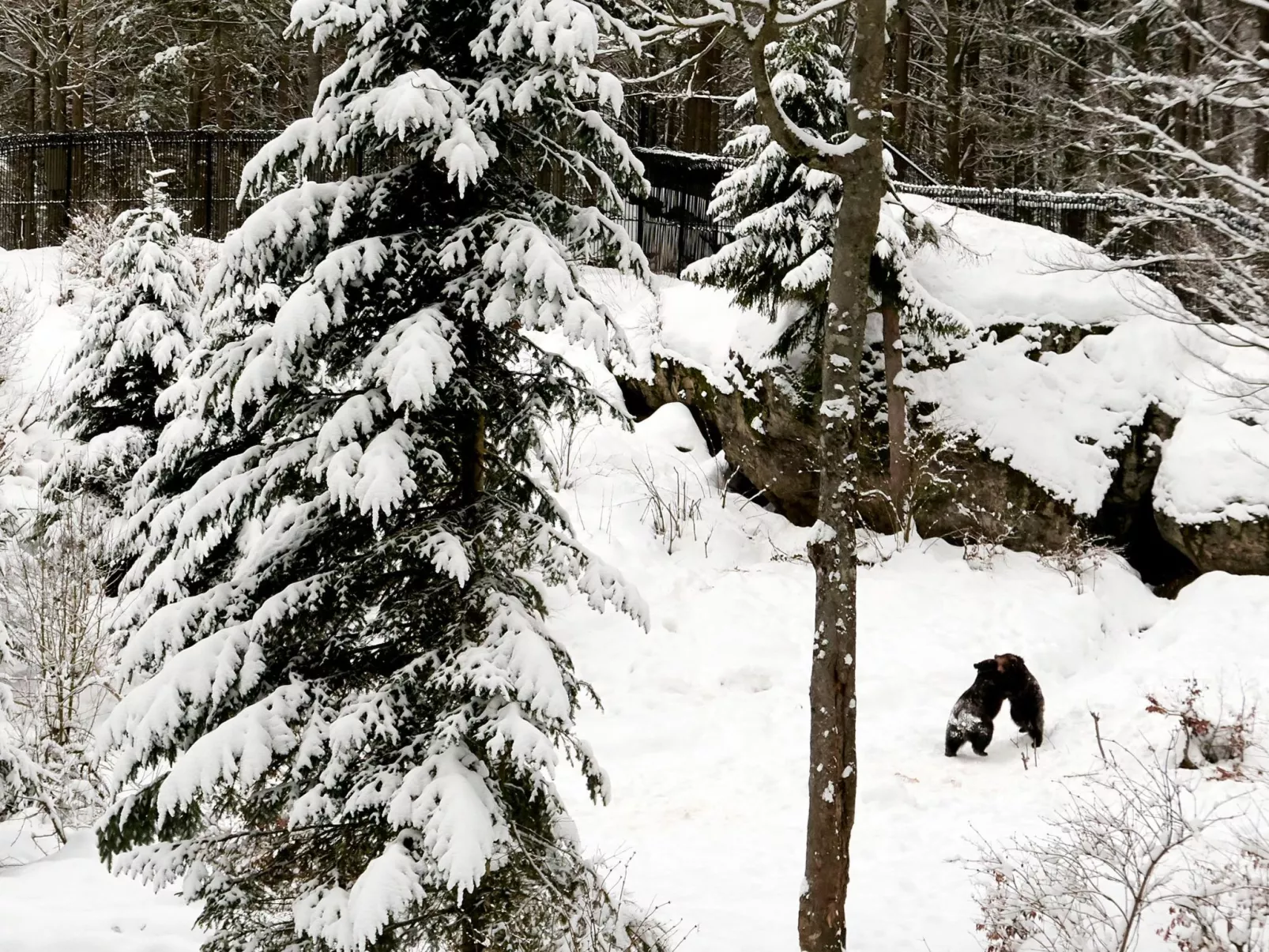 In Waldkirchen mit Garten und Seeblick-Dedans
