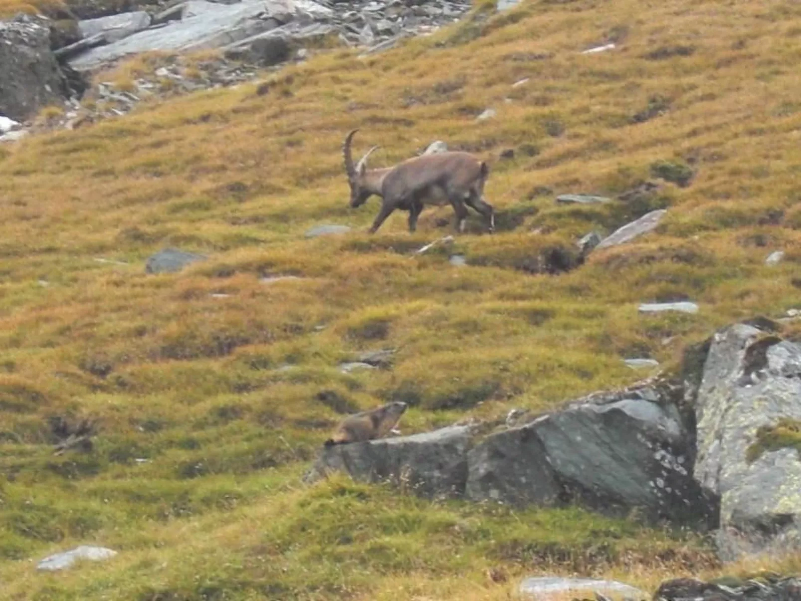 Studio barrierefrei - Draußen